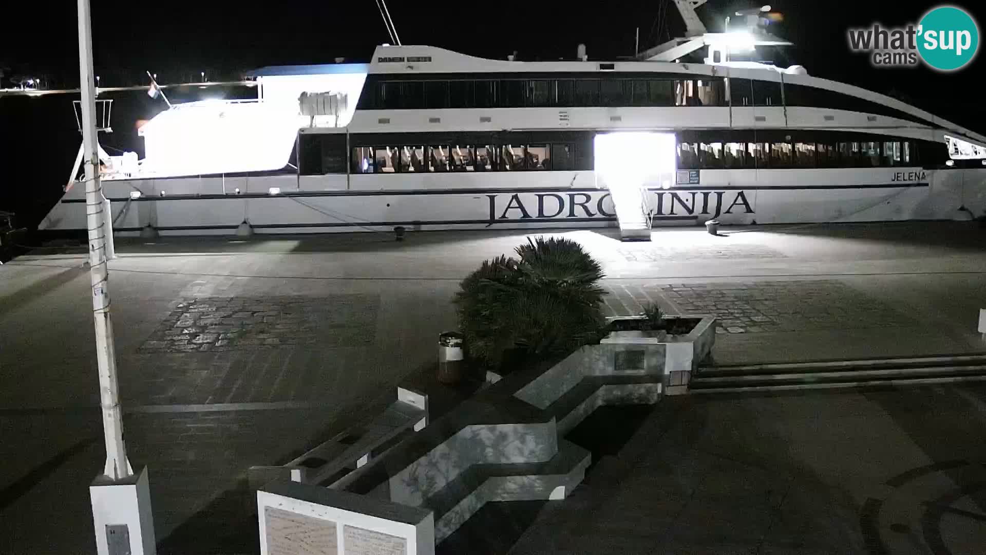 Promenade en Novalia Camera en vivo