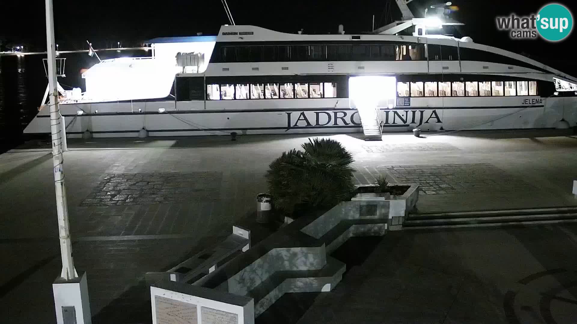 Promenade en Novalia Camera en vivo