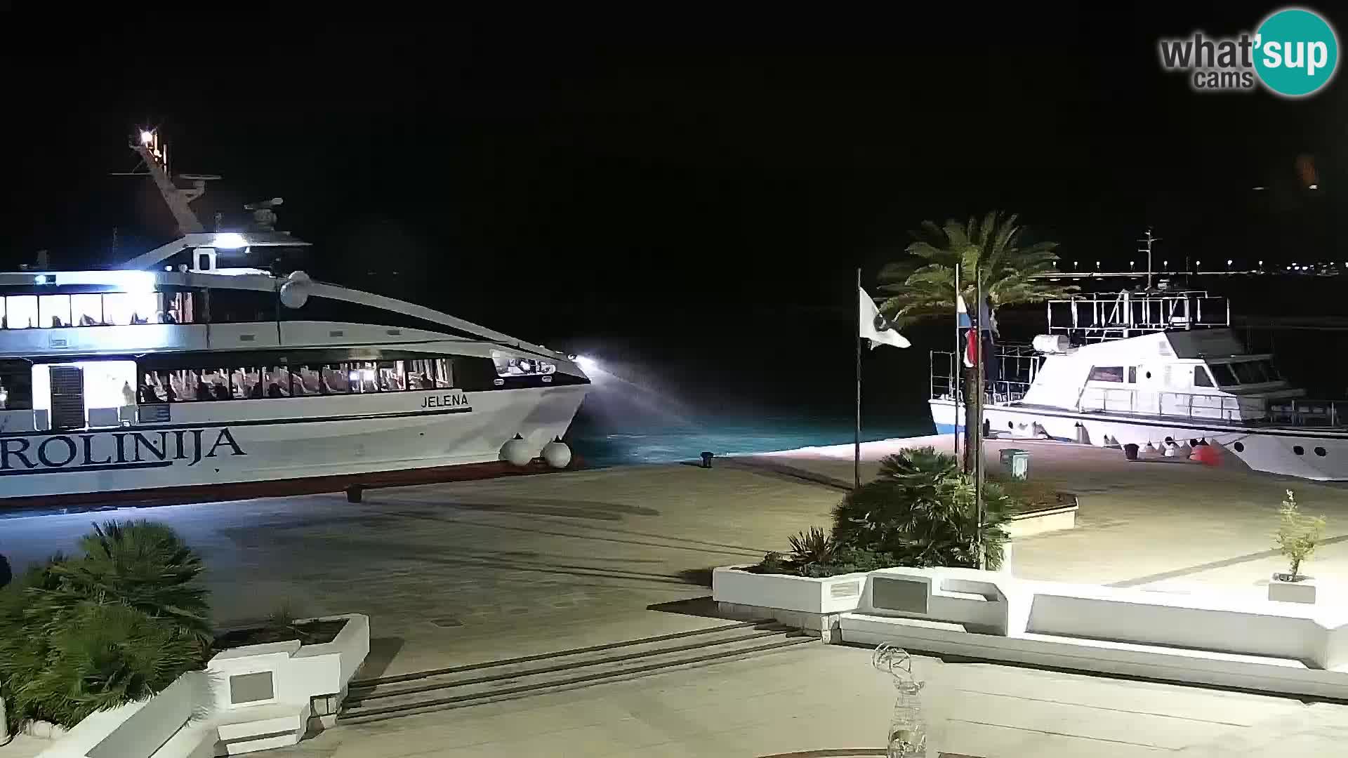 Promenade en Novalia Camera en vivo