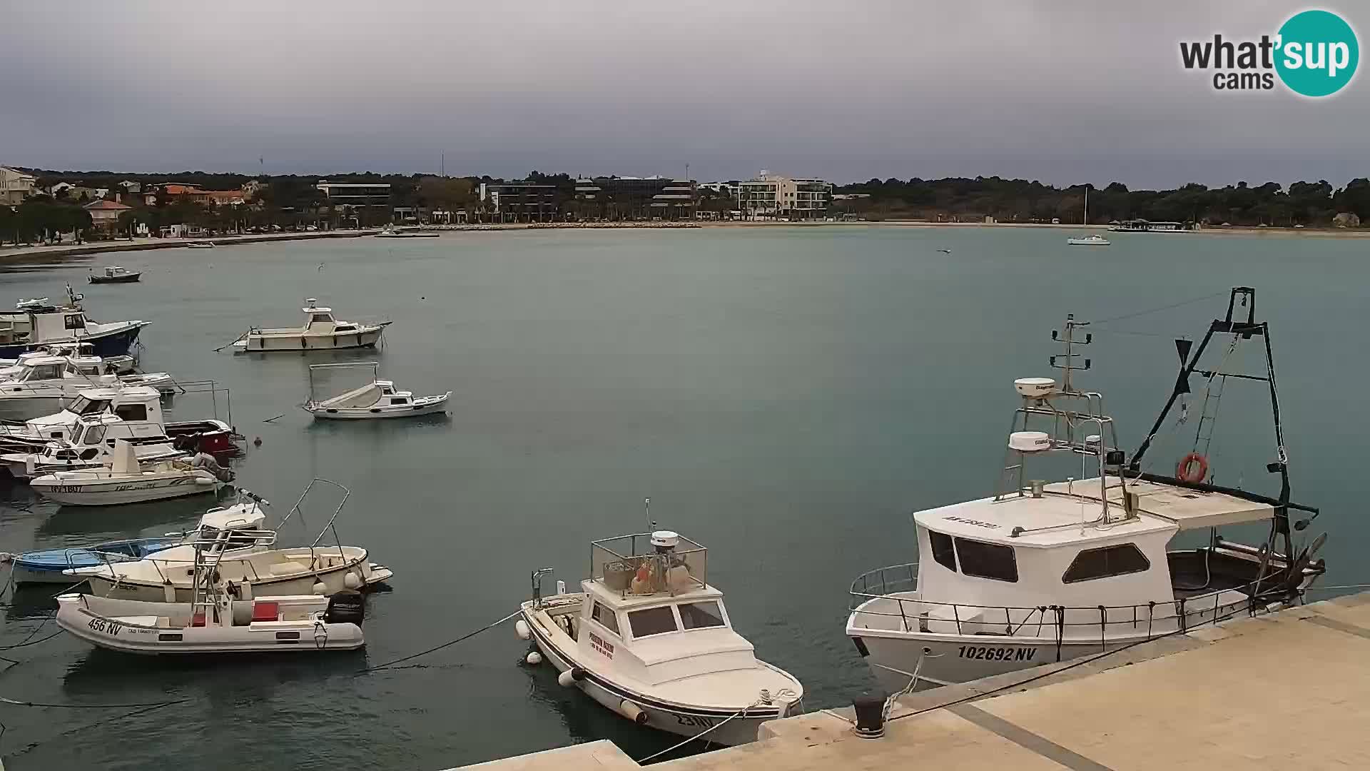 Webcam Novalja seaside promenade