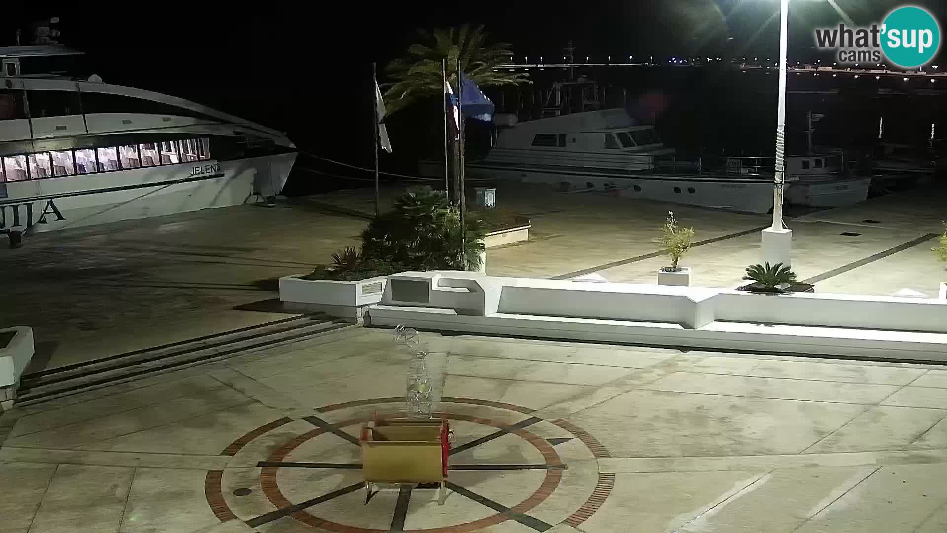 Promenade en Novalia Camera en vivo