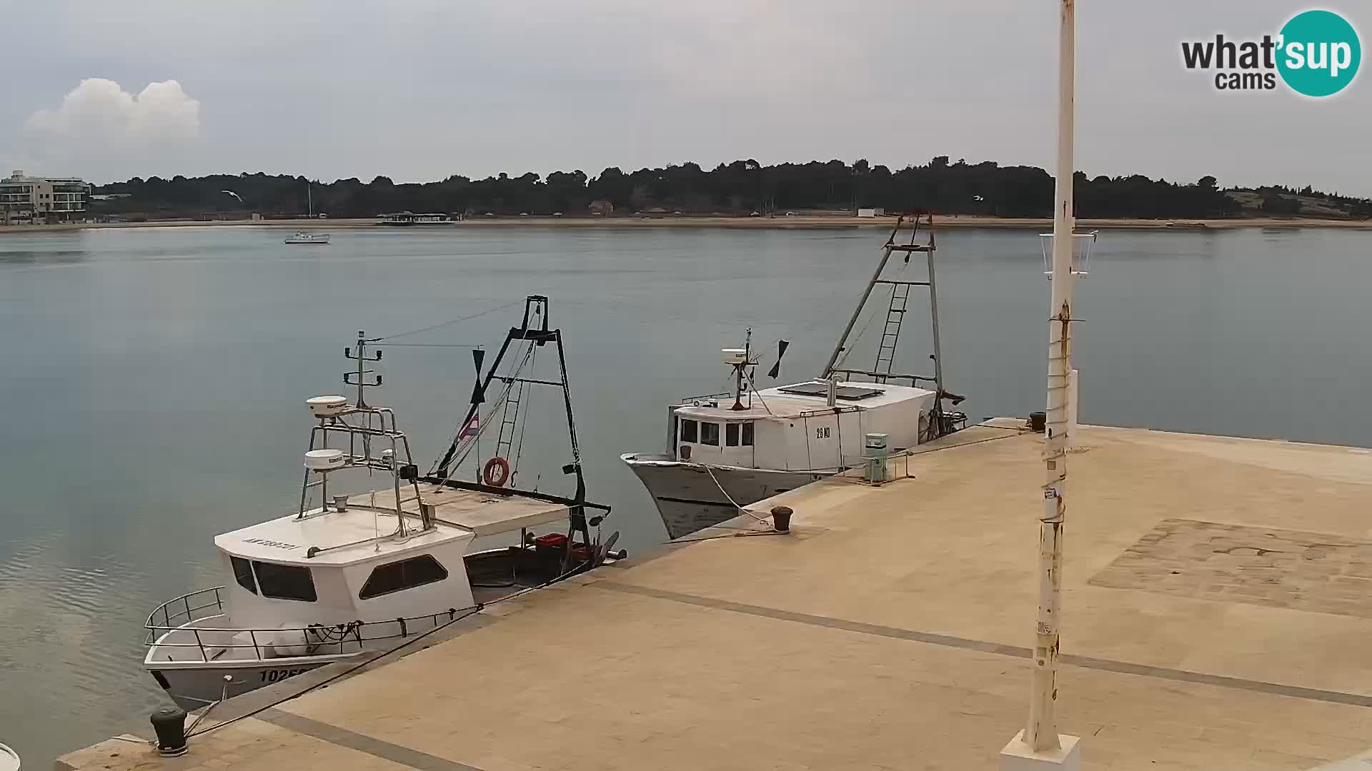 Webcam Novalja seaside promenade