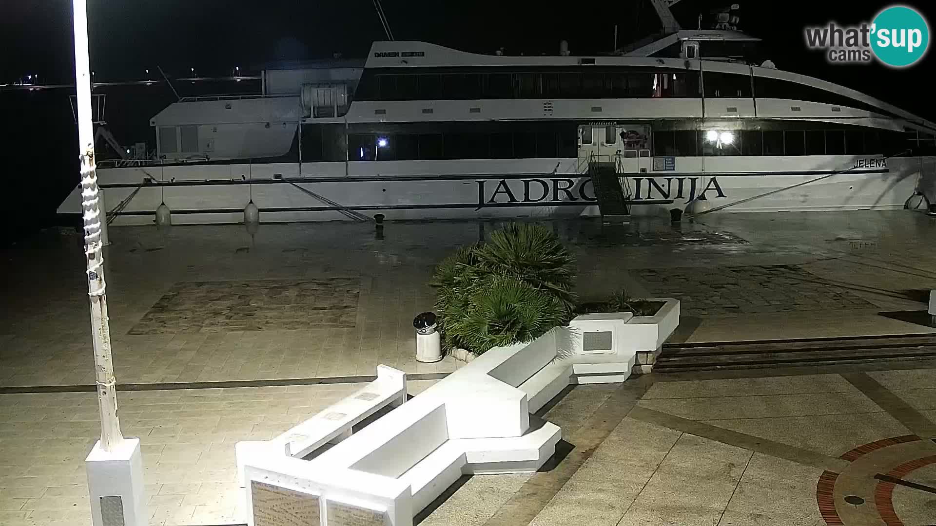 Promenade en Novalia Camera en vivo