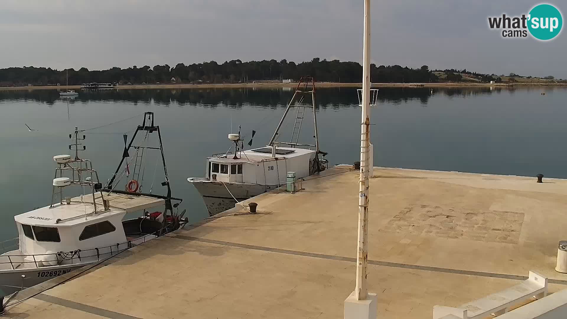 Promenade en Novalia Camera en vivo