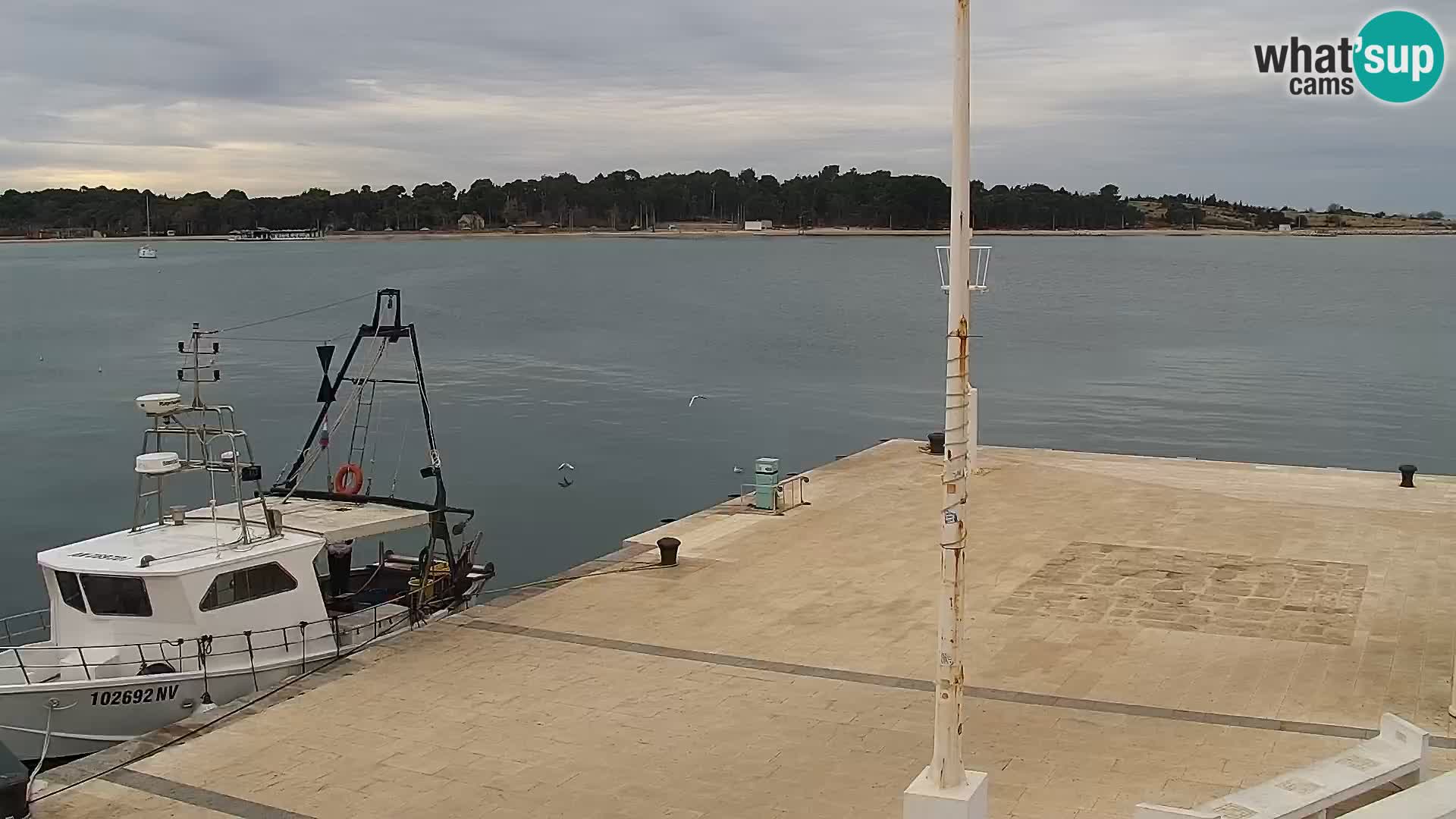 Web kamera Novalja promenada