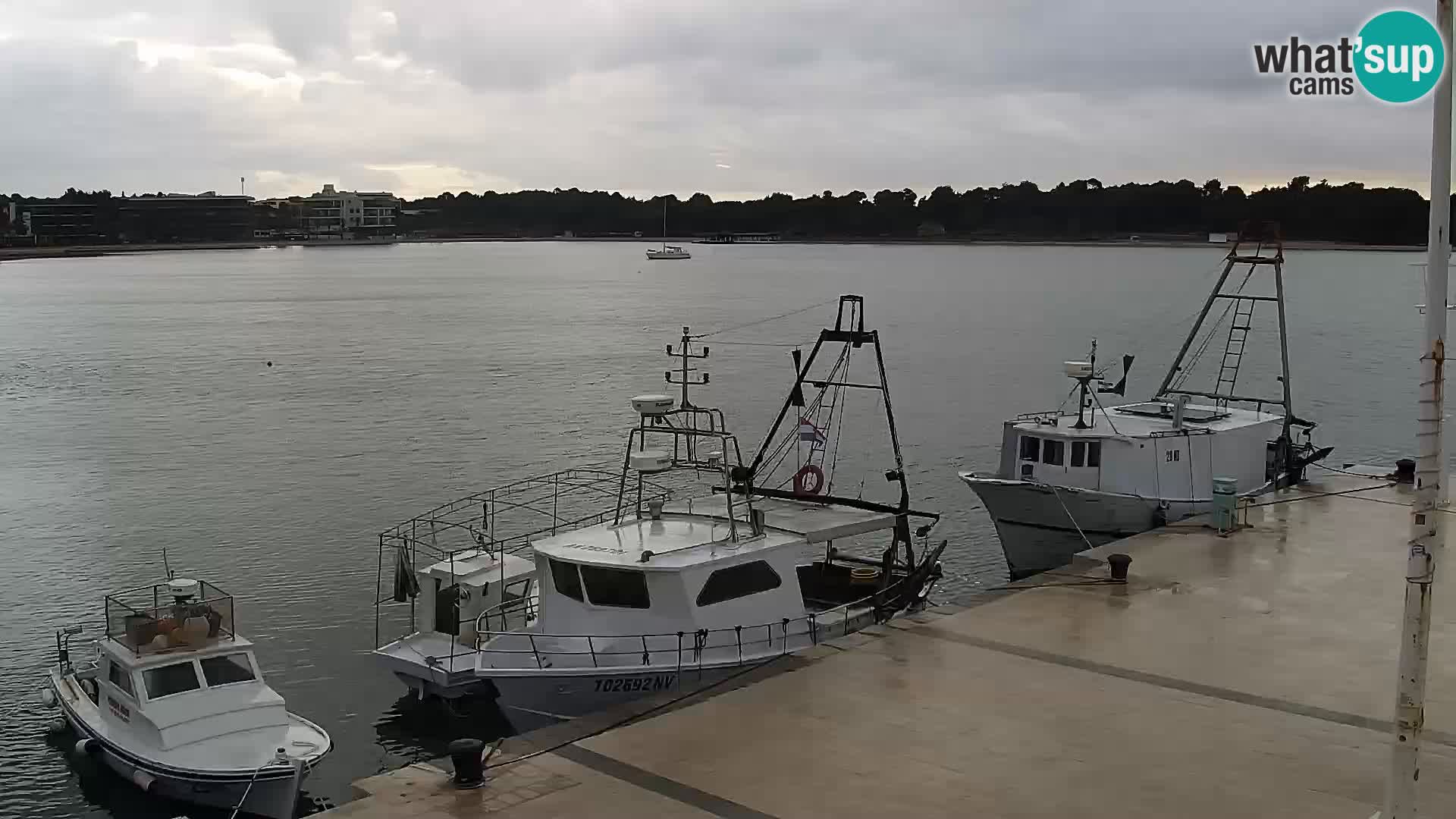 Livecam Promenade a Novalja