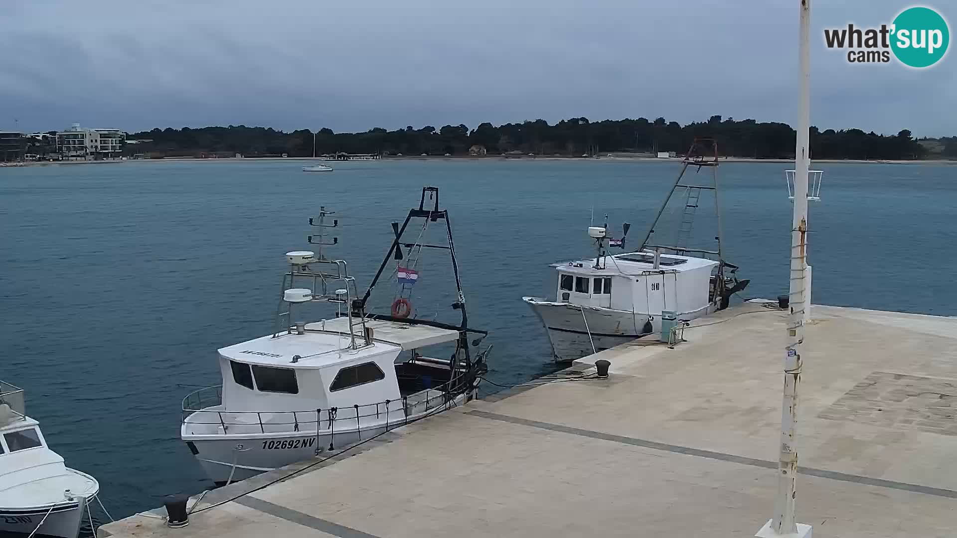 Live webcam Novaglia lungomare