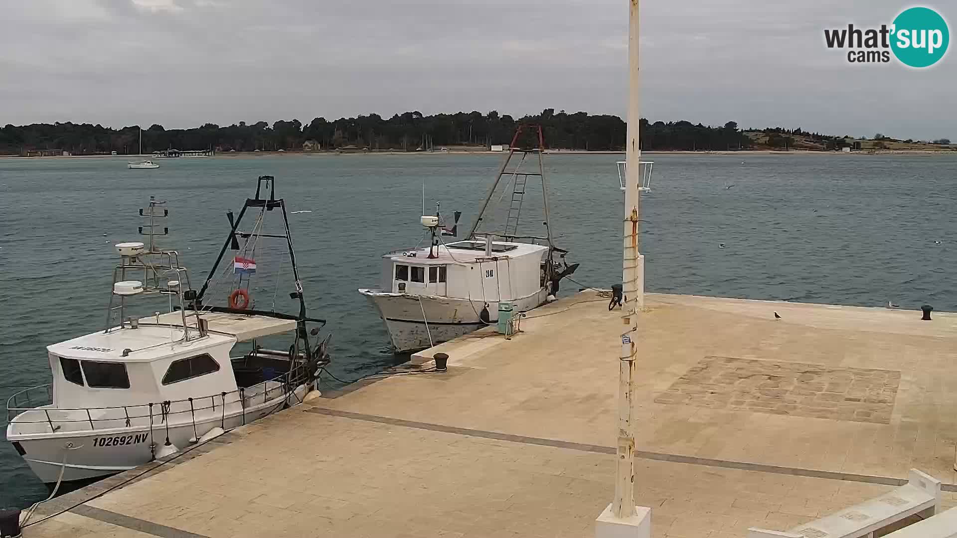 Webcam Novalja seaside promenade
