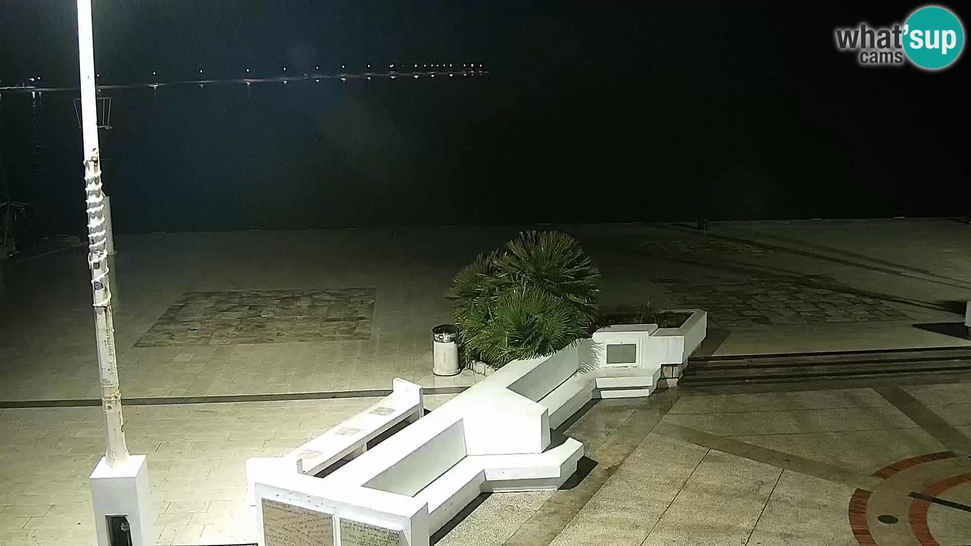 Promenade en Novalia Camera en vivo