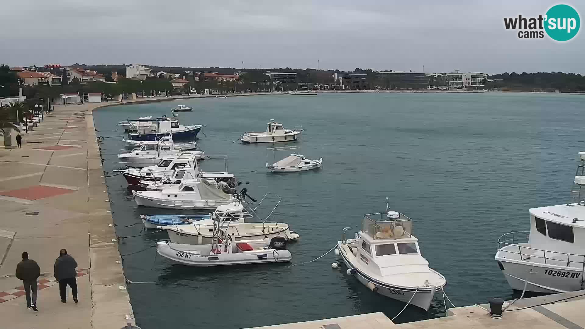 Promenade en Novalia Camera en vivo