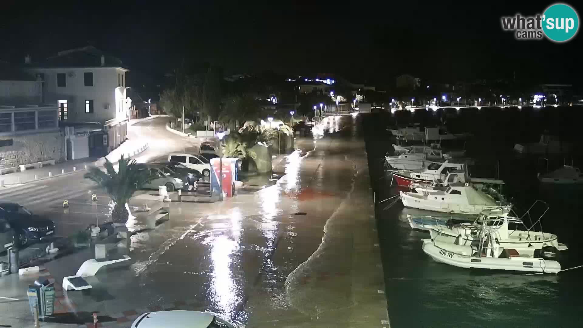 Promenade en Novalia Camera en vivo