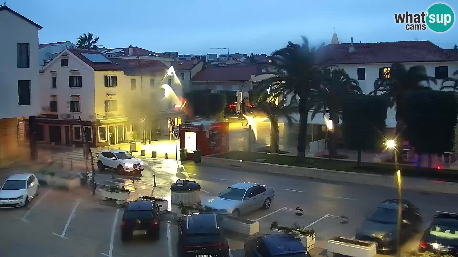 Promenade en Novalia Camera en vivo