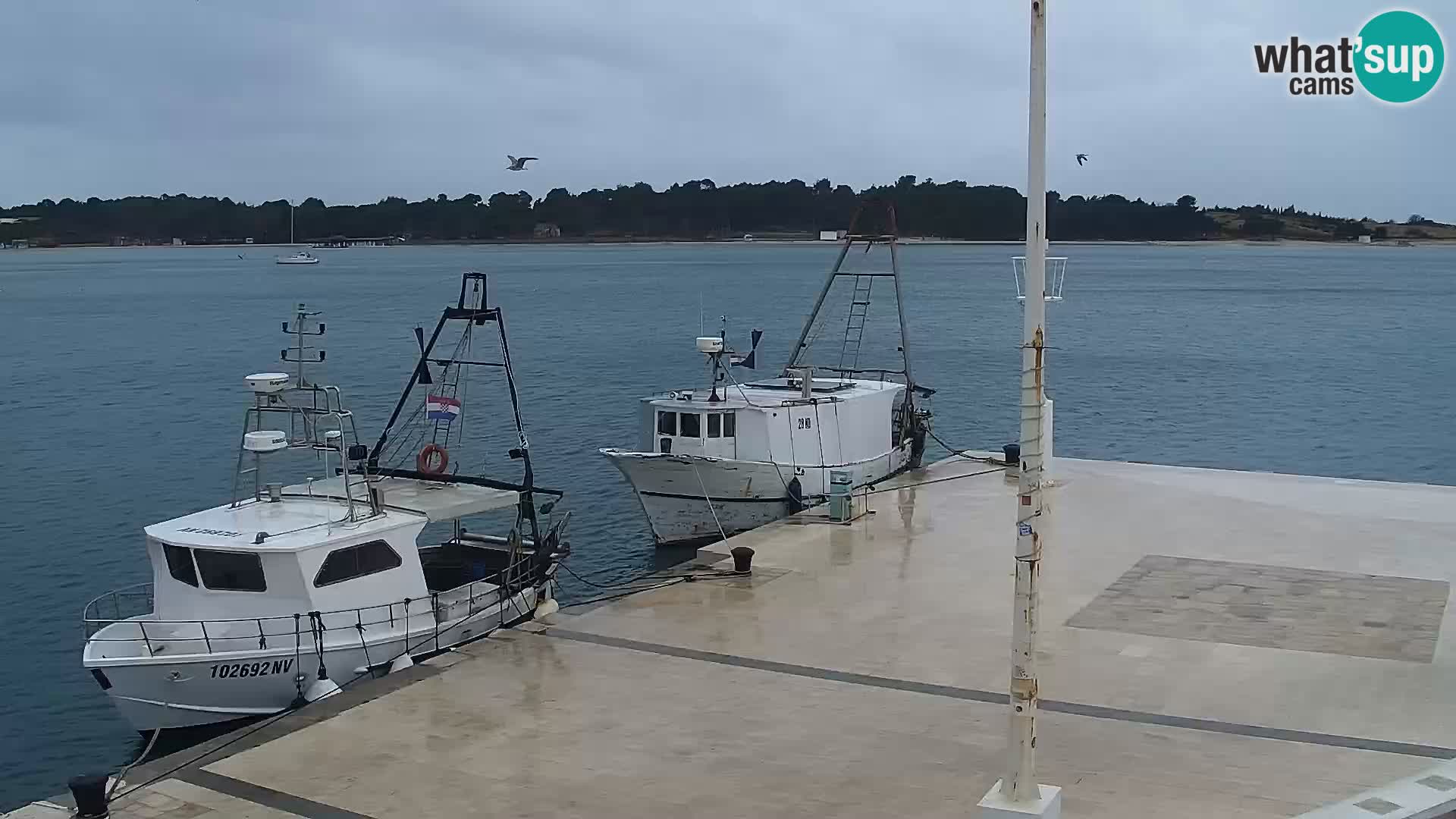 Livecam Promenade a Novalja