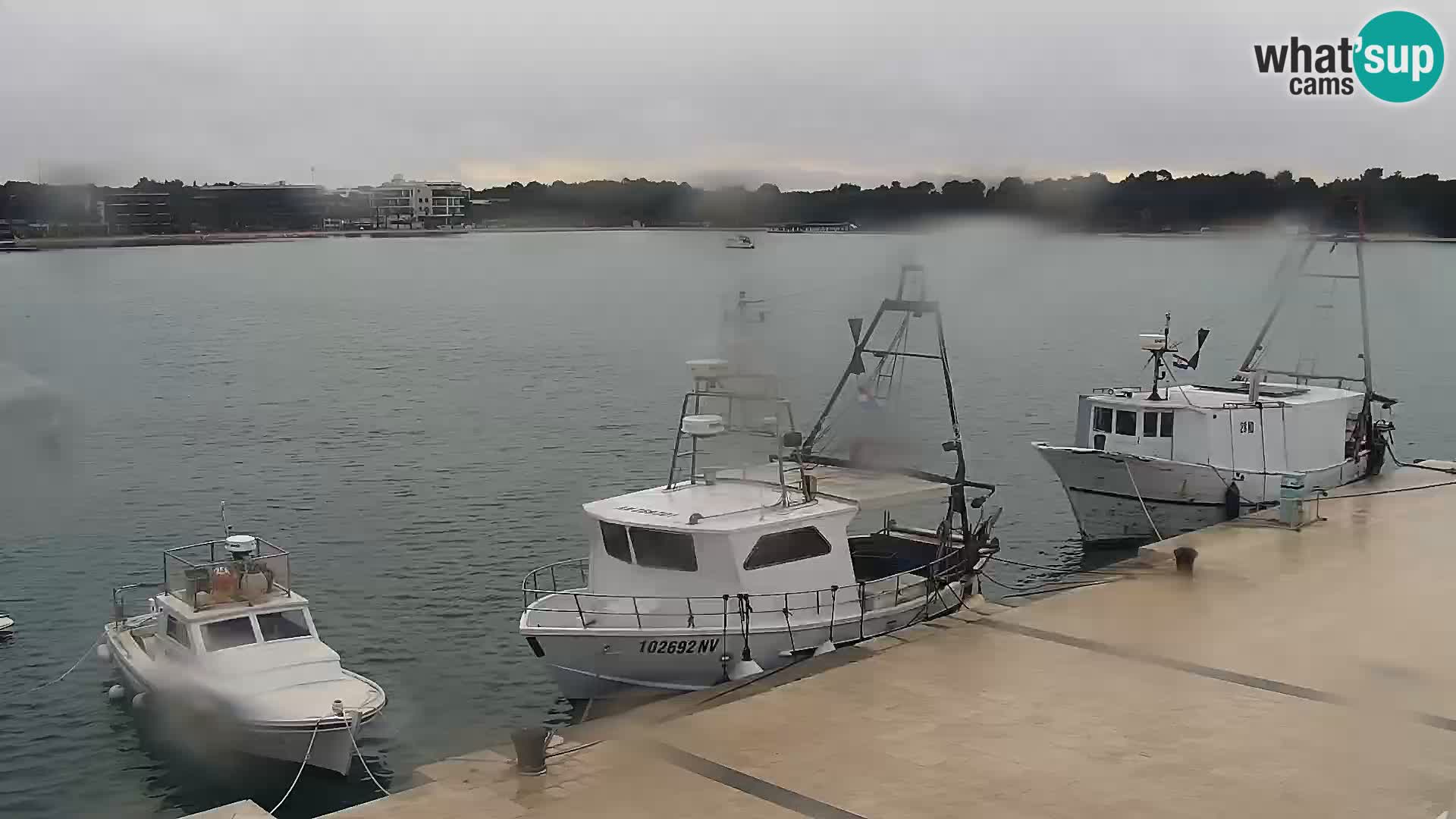 Novalja Livecam promenade