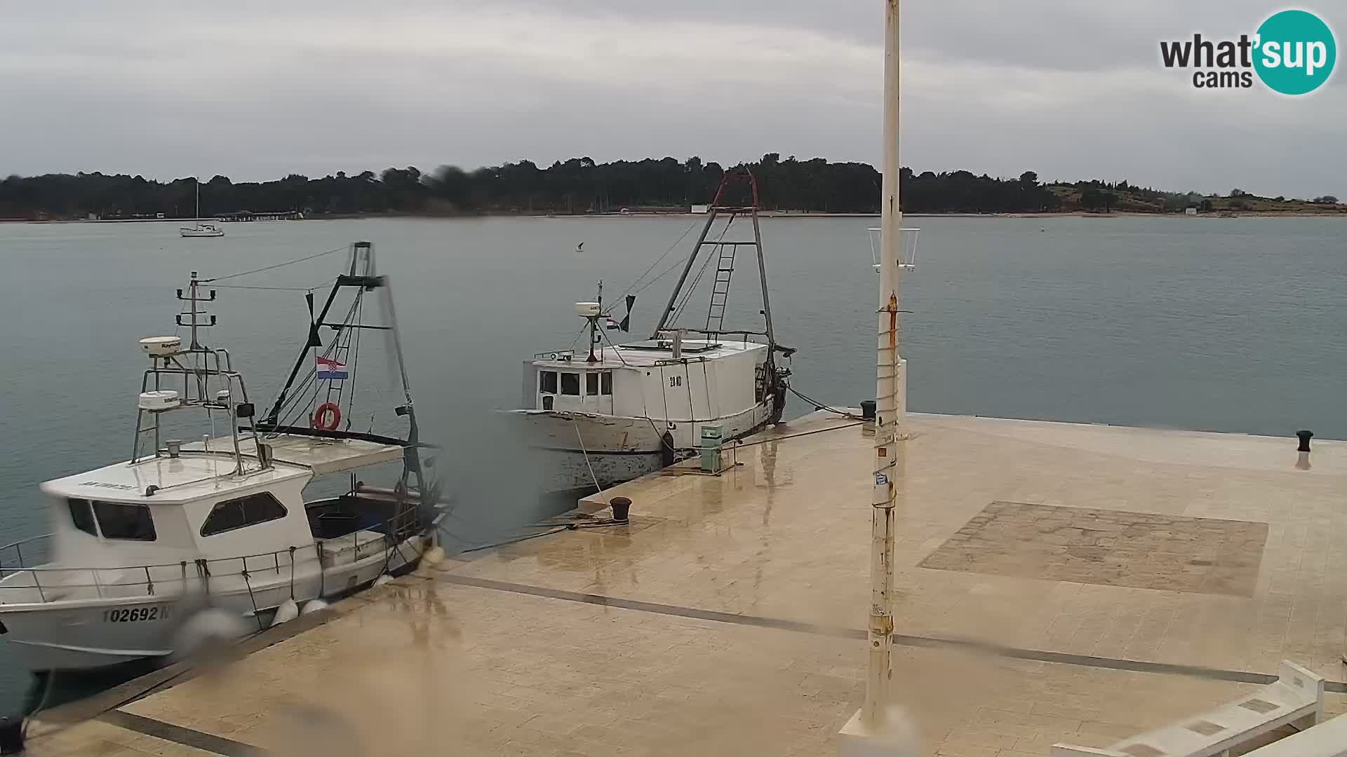 Livecam Promenade a Novalja