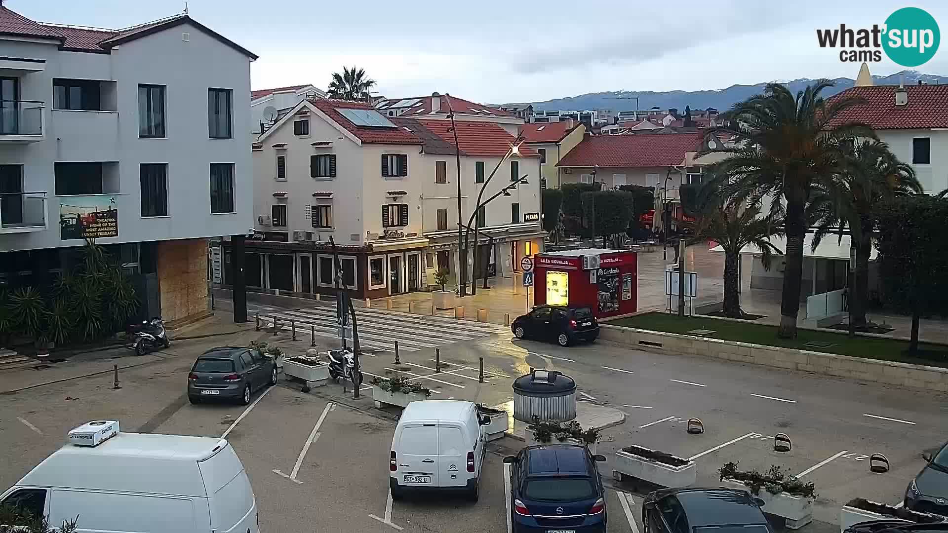 Promenade en Novalia Camera en vivo