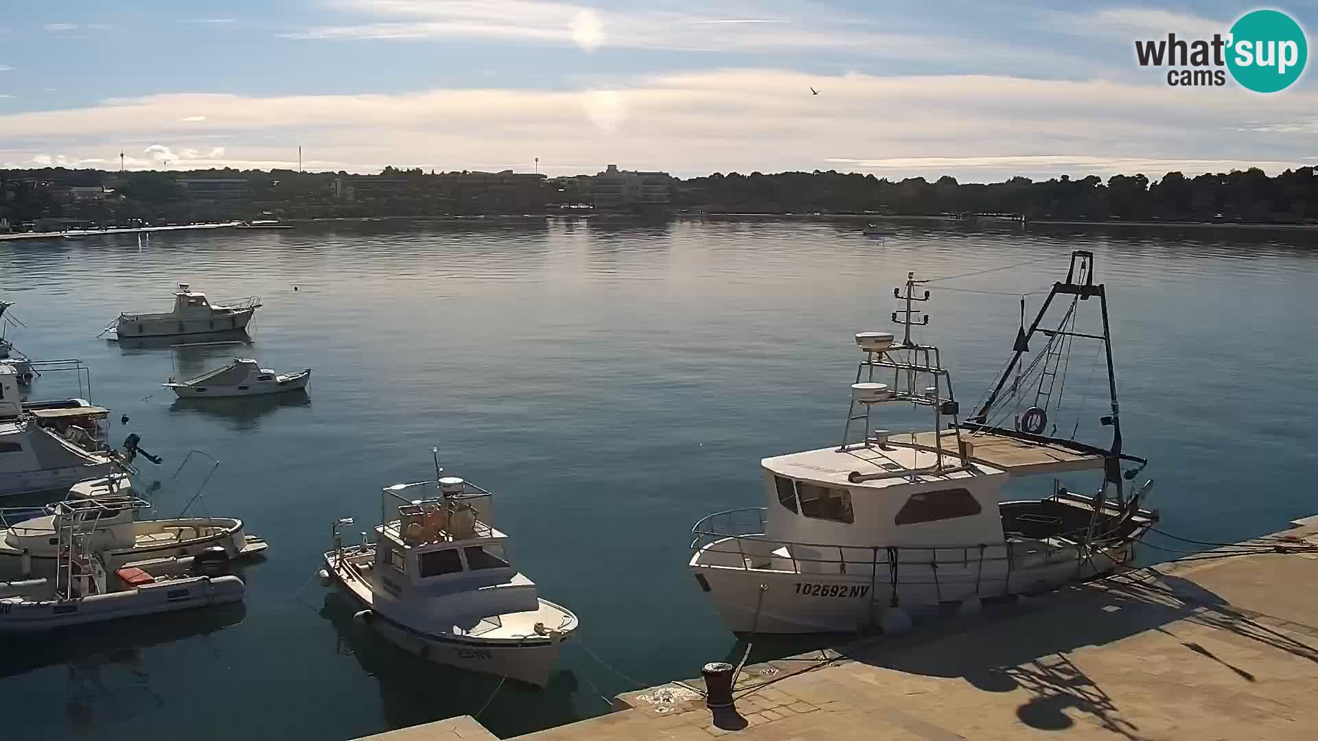 Live webcam Novaglia lungomare