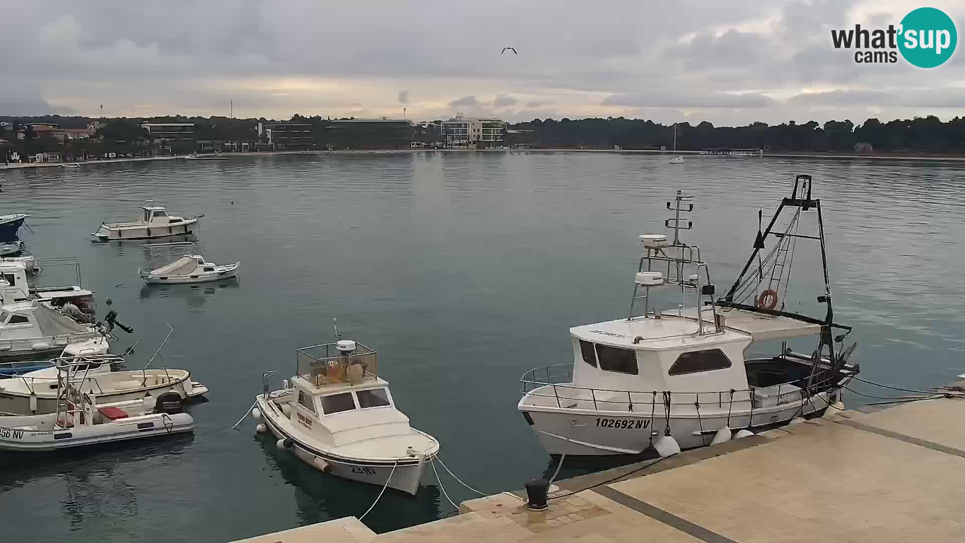 Live webcam Novaglia lungomare