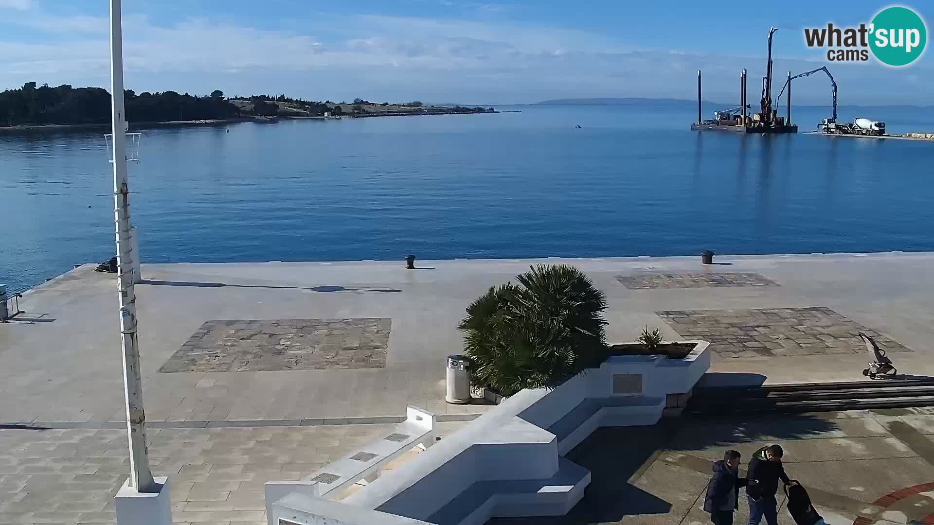 Promenade en Novalia Camera en vivo