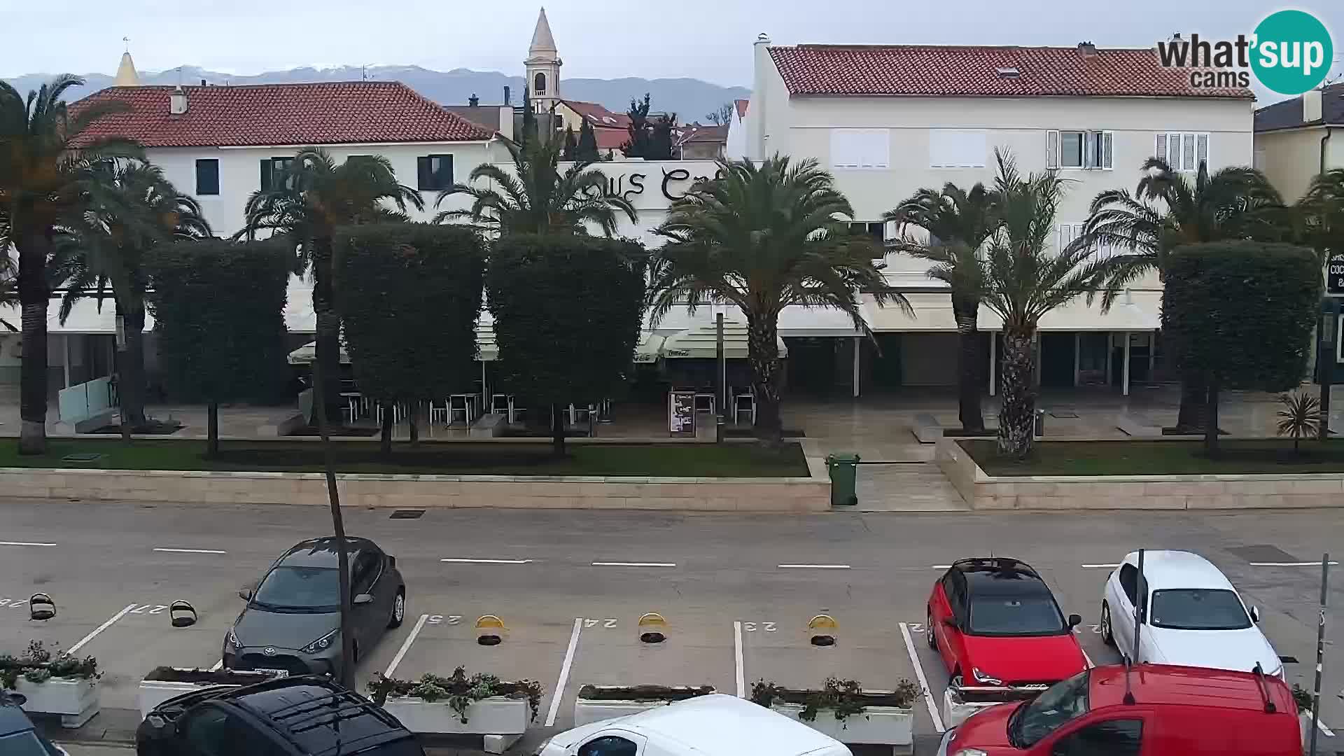 Promenade en Novalia Camera en vivo