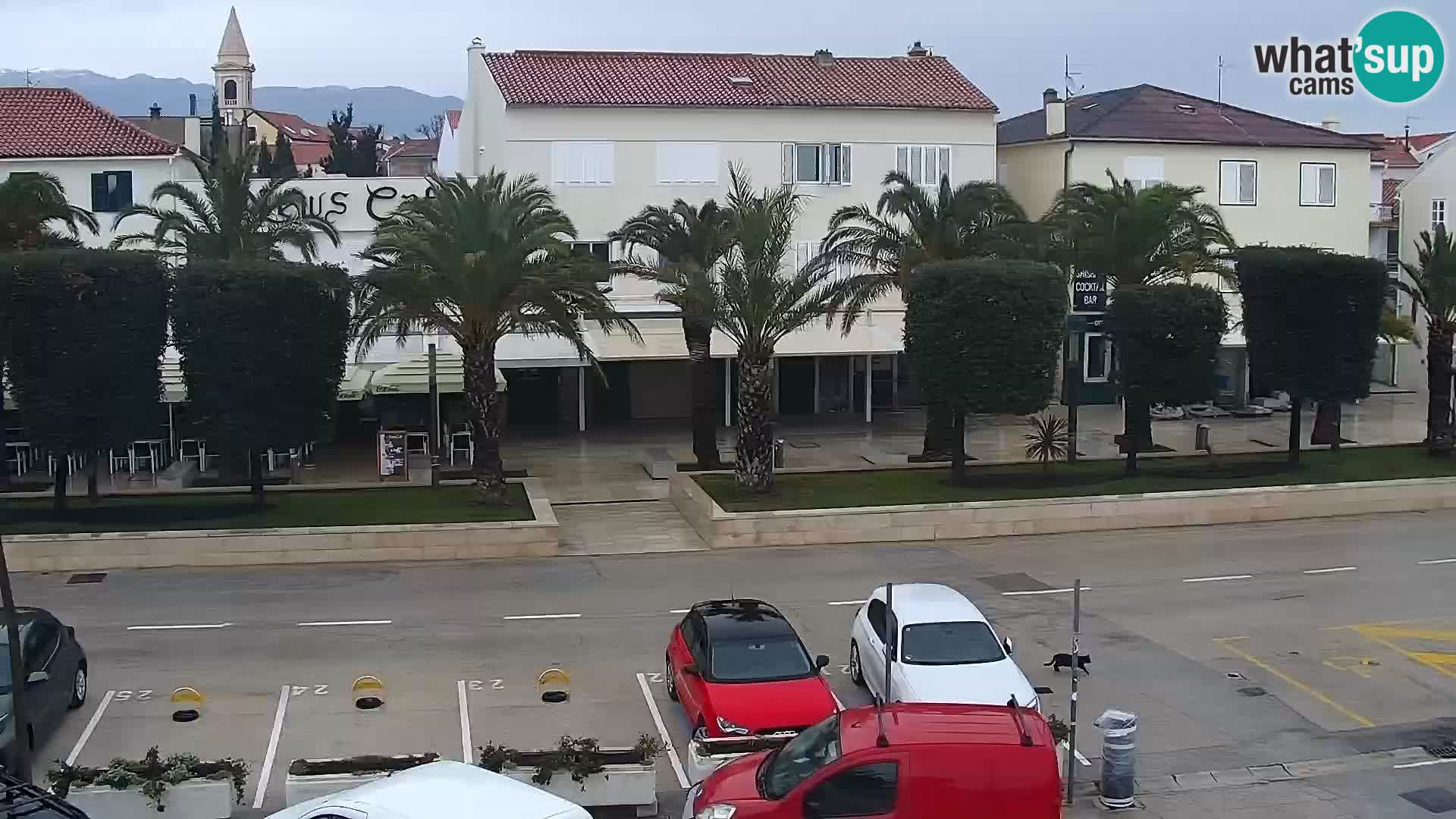 Promenade en Novalia Camera en vivo