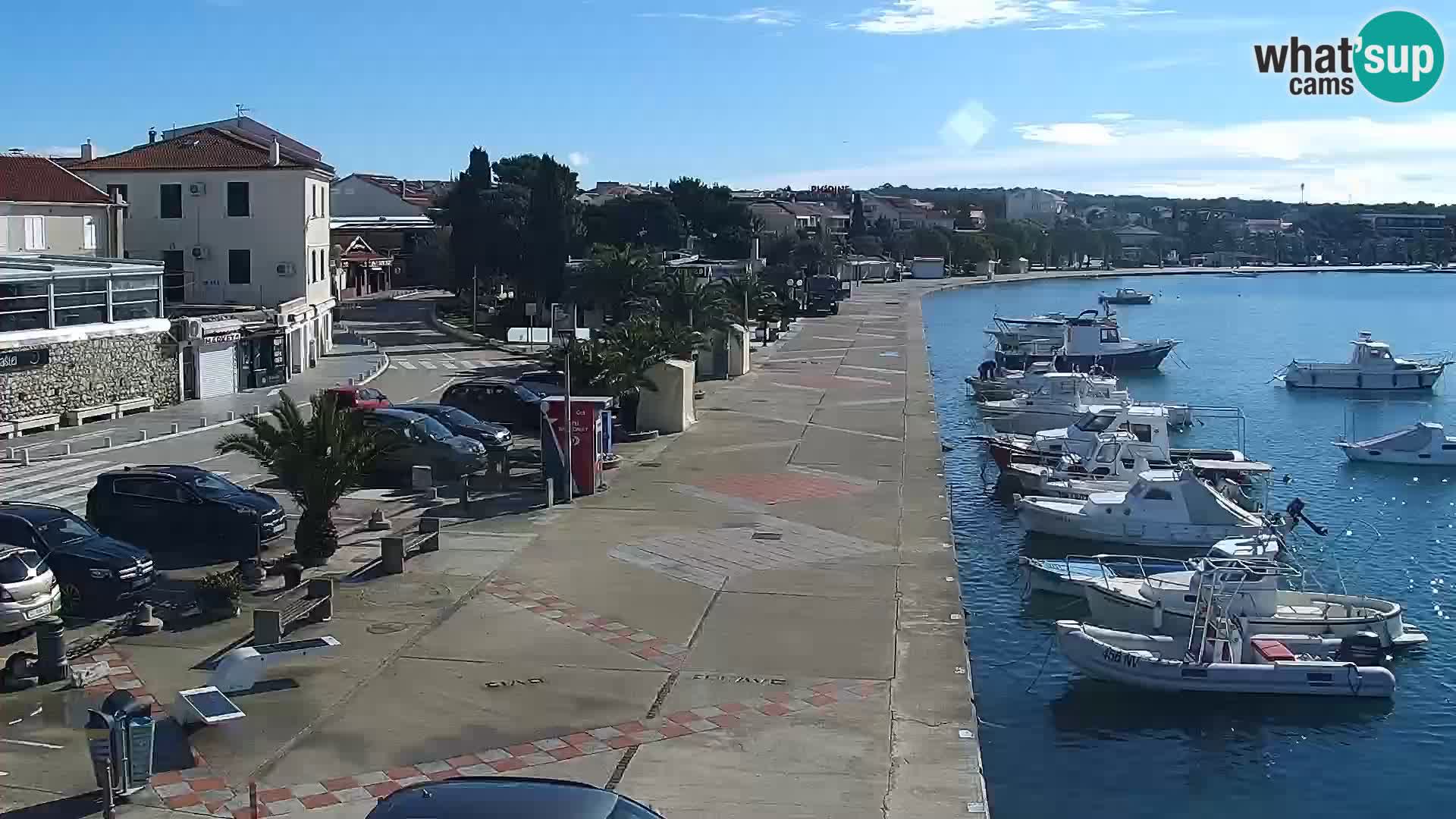 Promenade en Novalia Camera en vivo