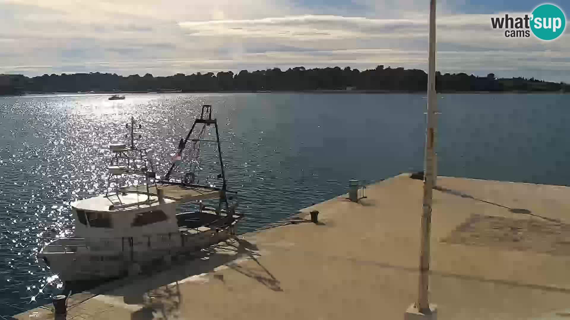 Novalja Livecam promenade