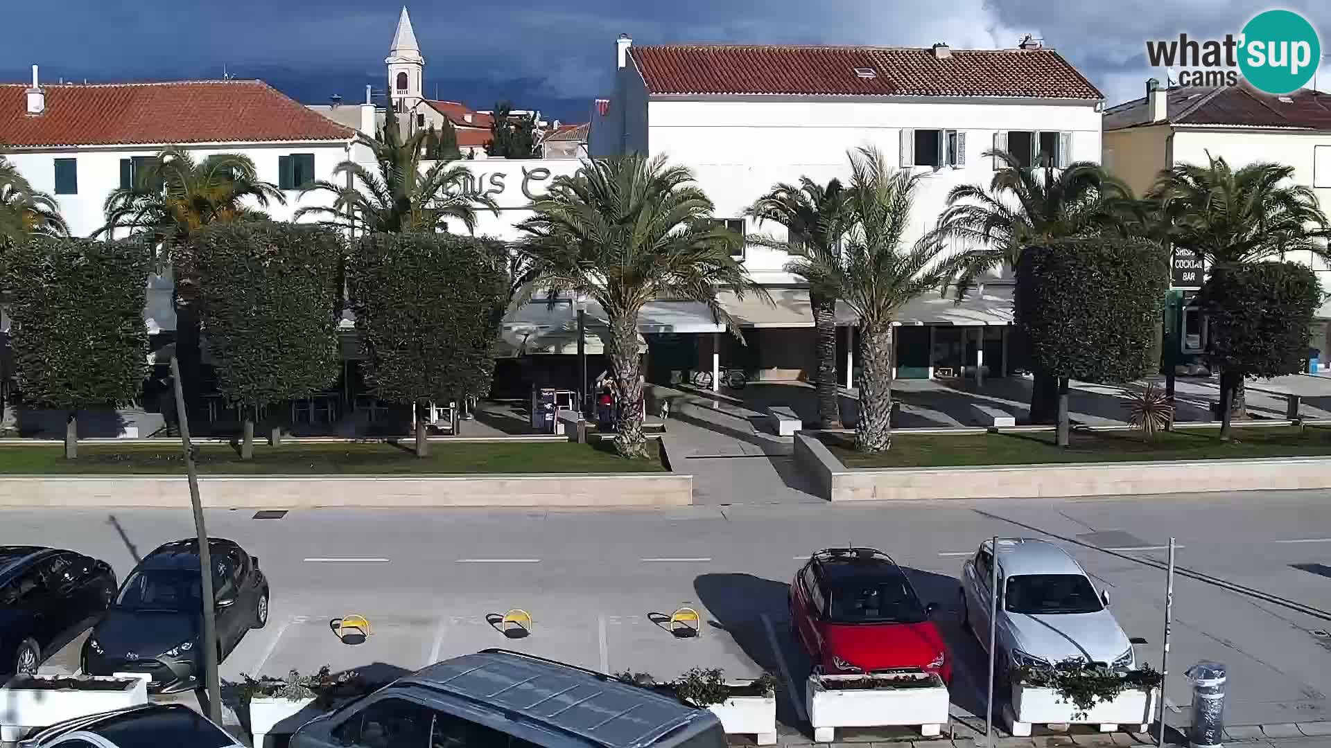 Promenade en Novalia Camera en vivo