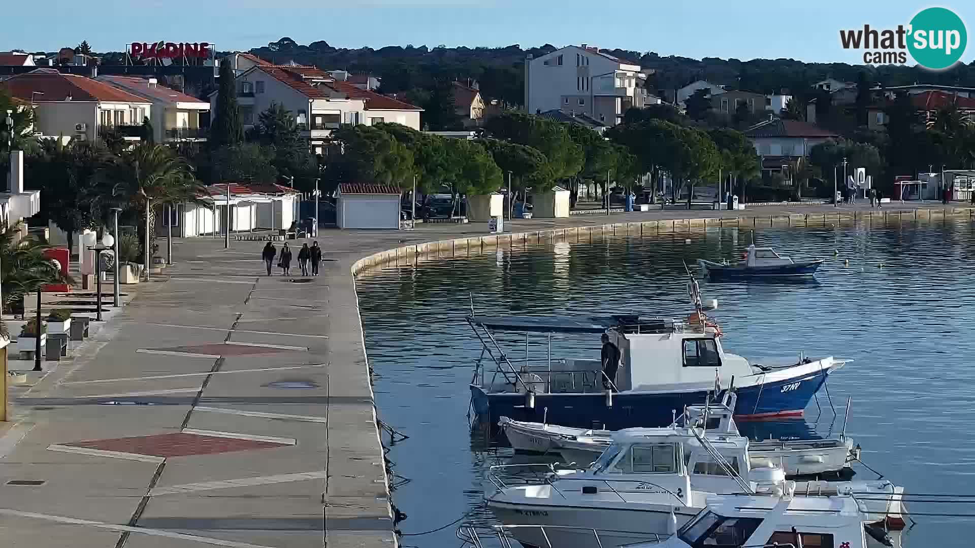 Promenade en Novalia Camera en vivo