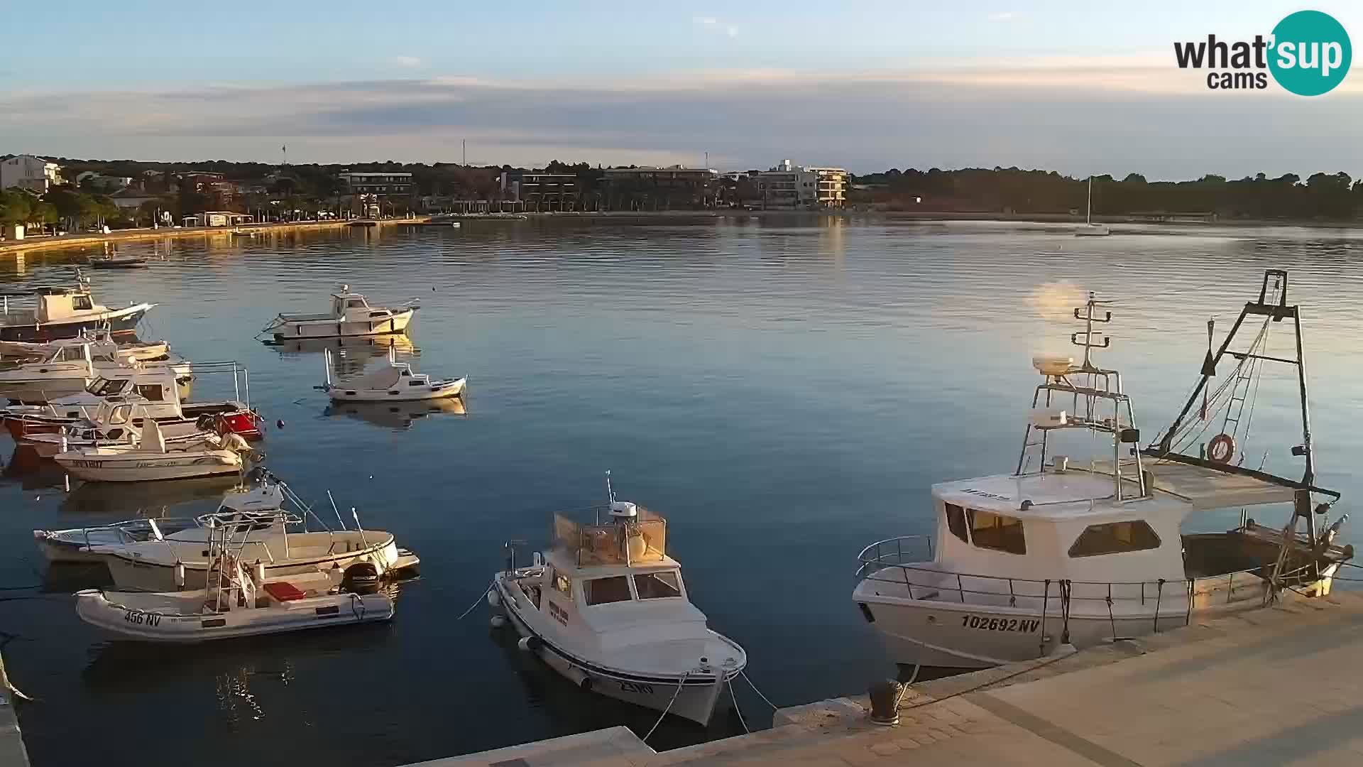 Webcam Novalja seaside promenade