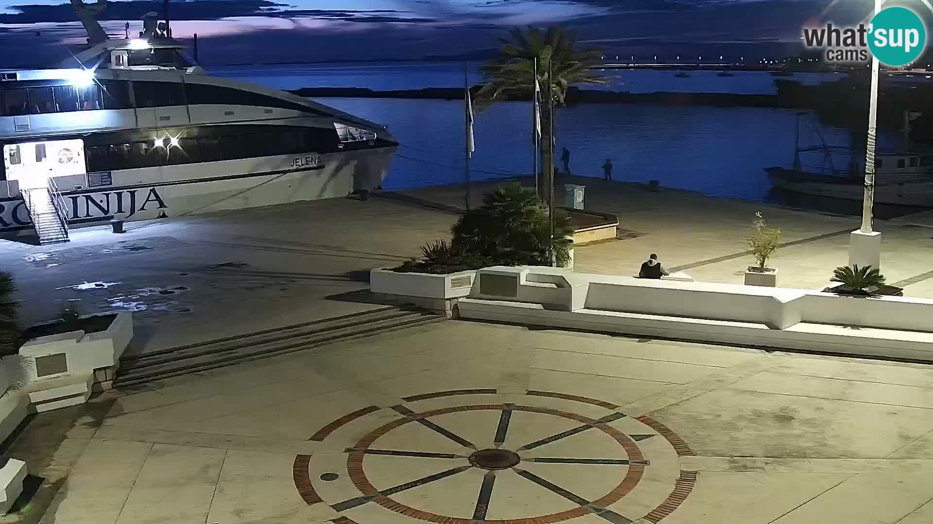 Promenade en Novalia Camera en vivo