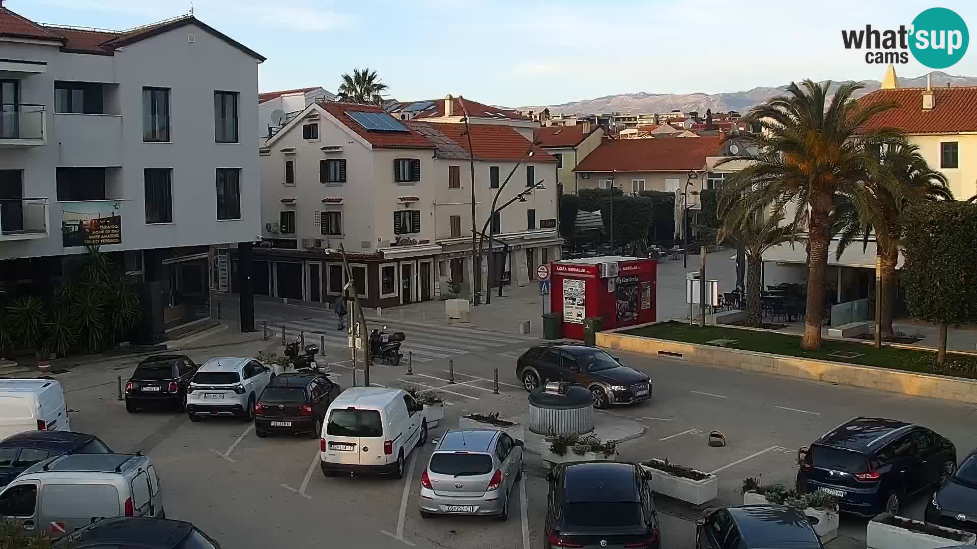 Promenade en Novalia Camera en vivo