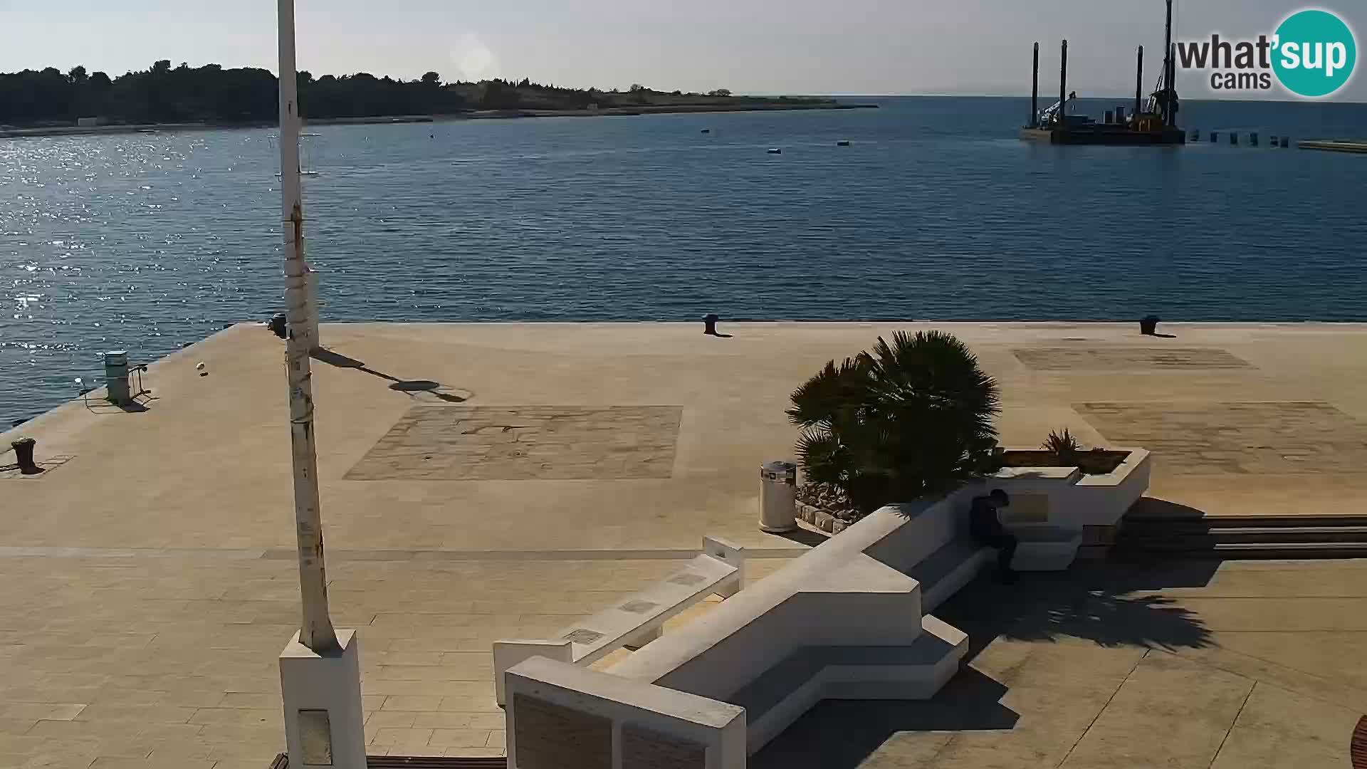 Promenade en Novalia Camera en vivo