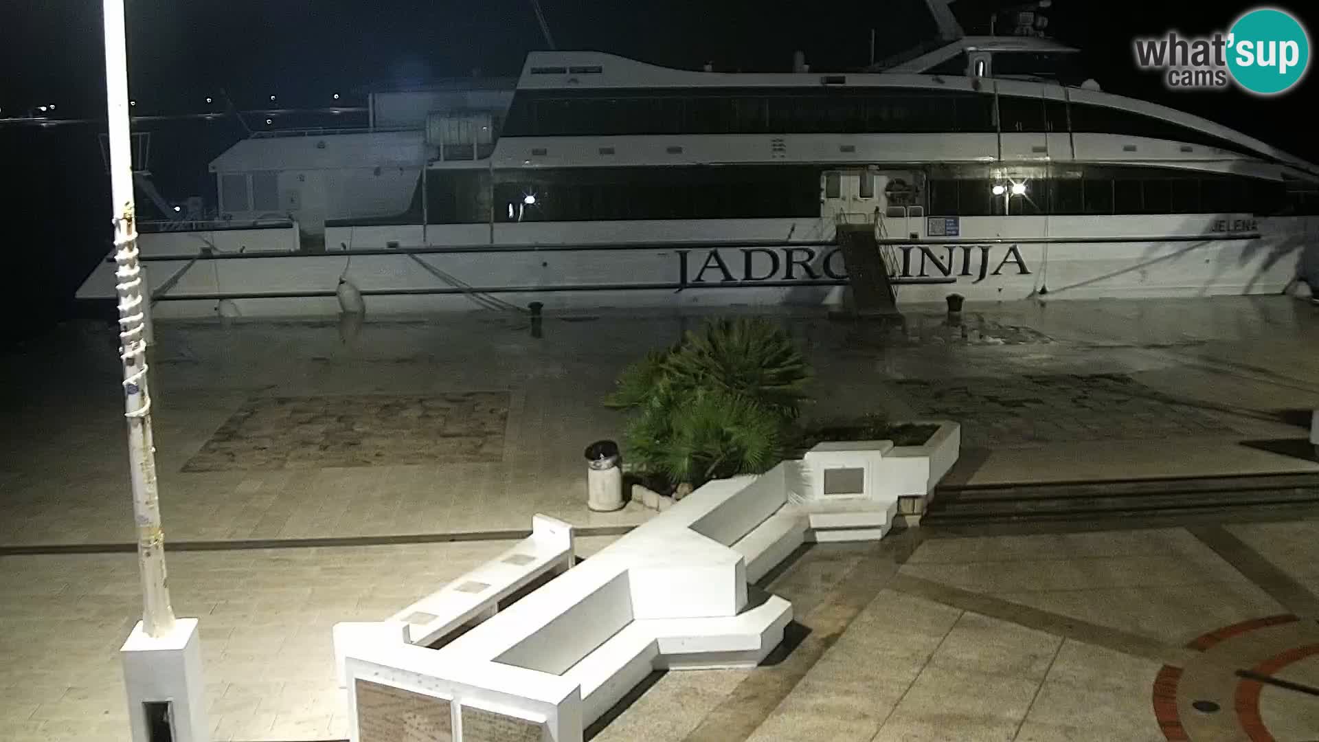 Promenade en Novalia Camera en vivo