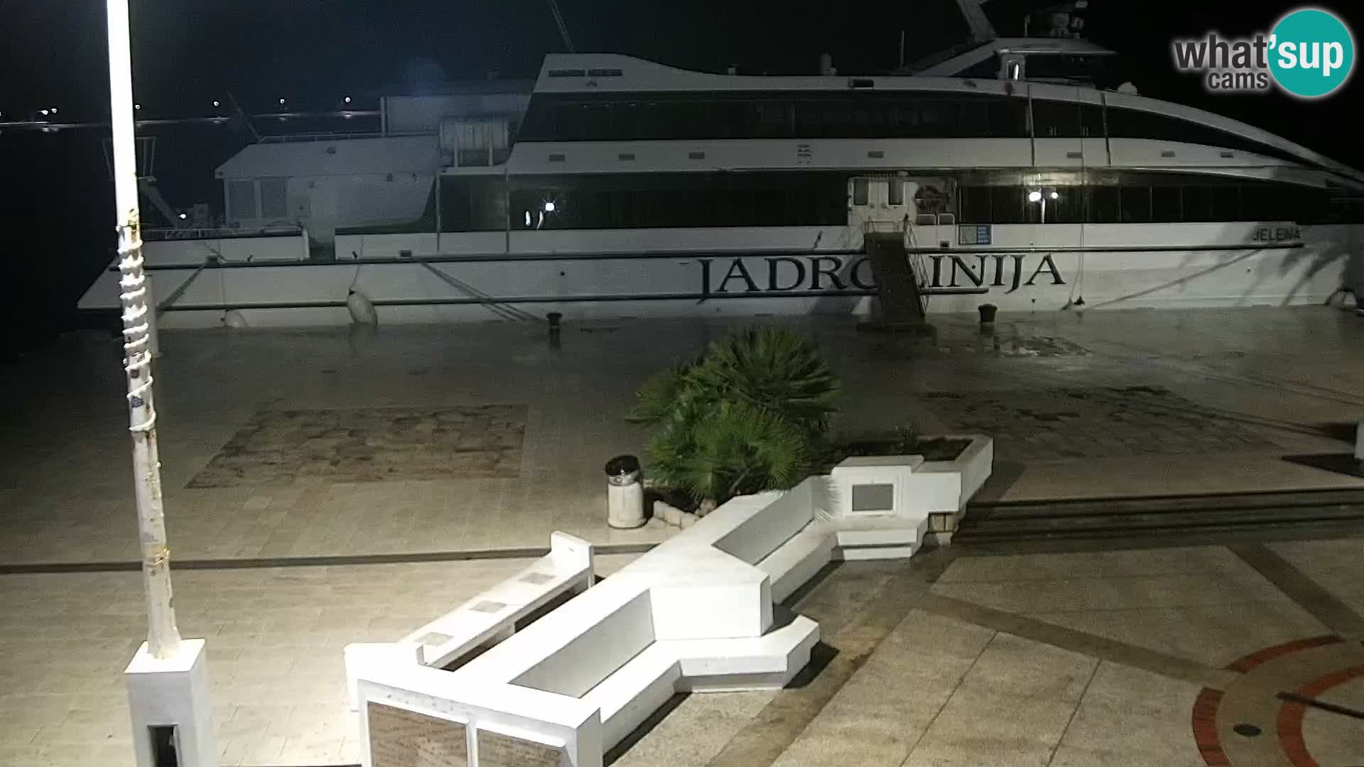 Promenade en Novalia Camera en vivo