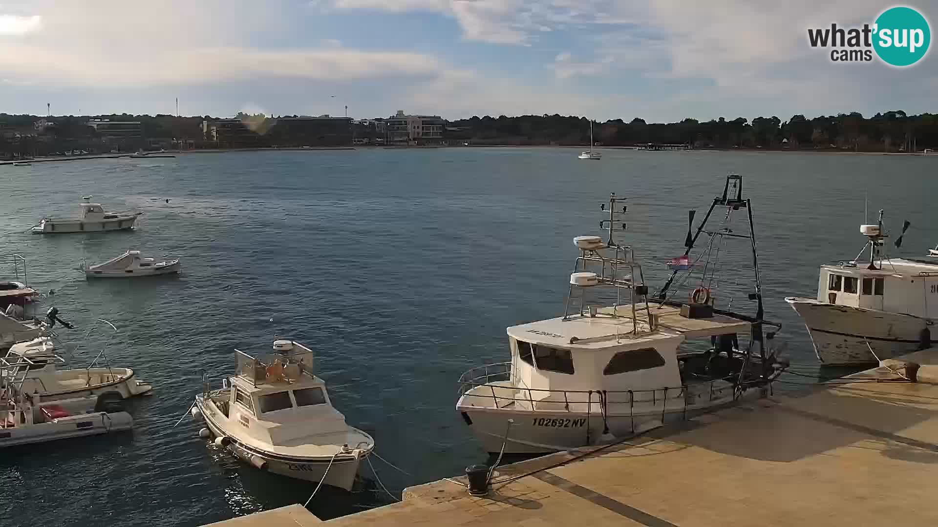 Novalja Livecam promenade