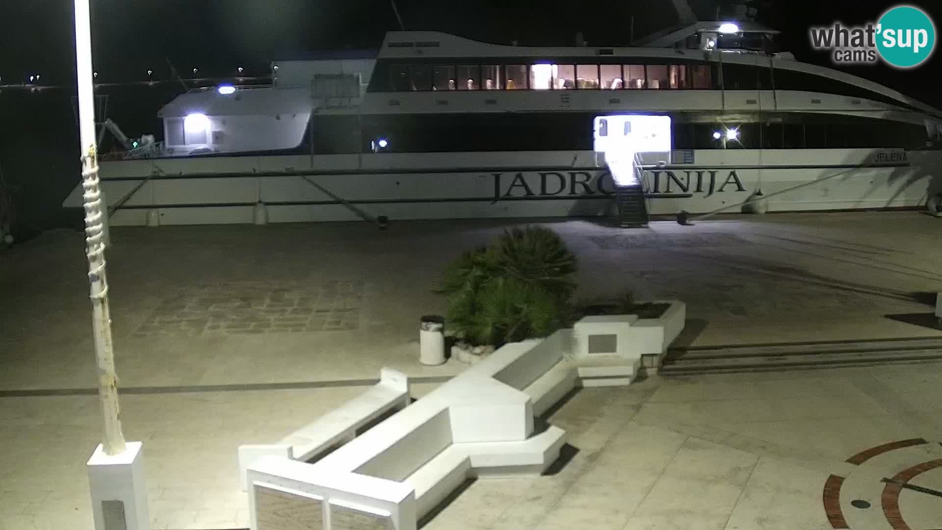 Promenade en Novalia Camera en vivo