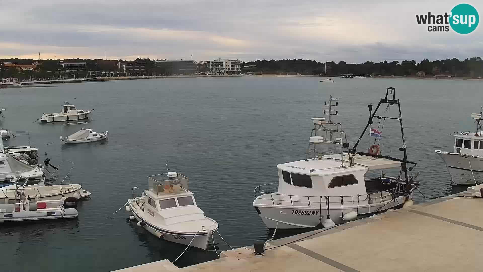 Novalja Livecam promenade