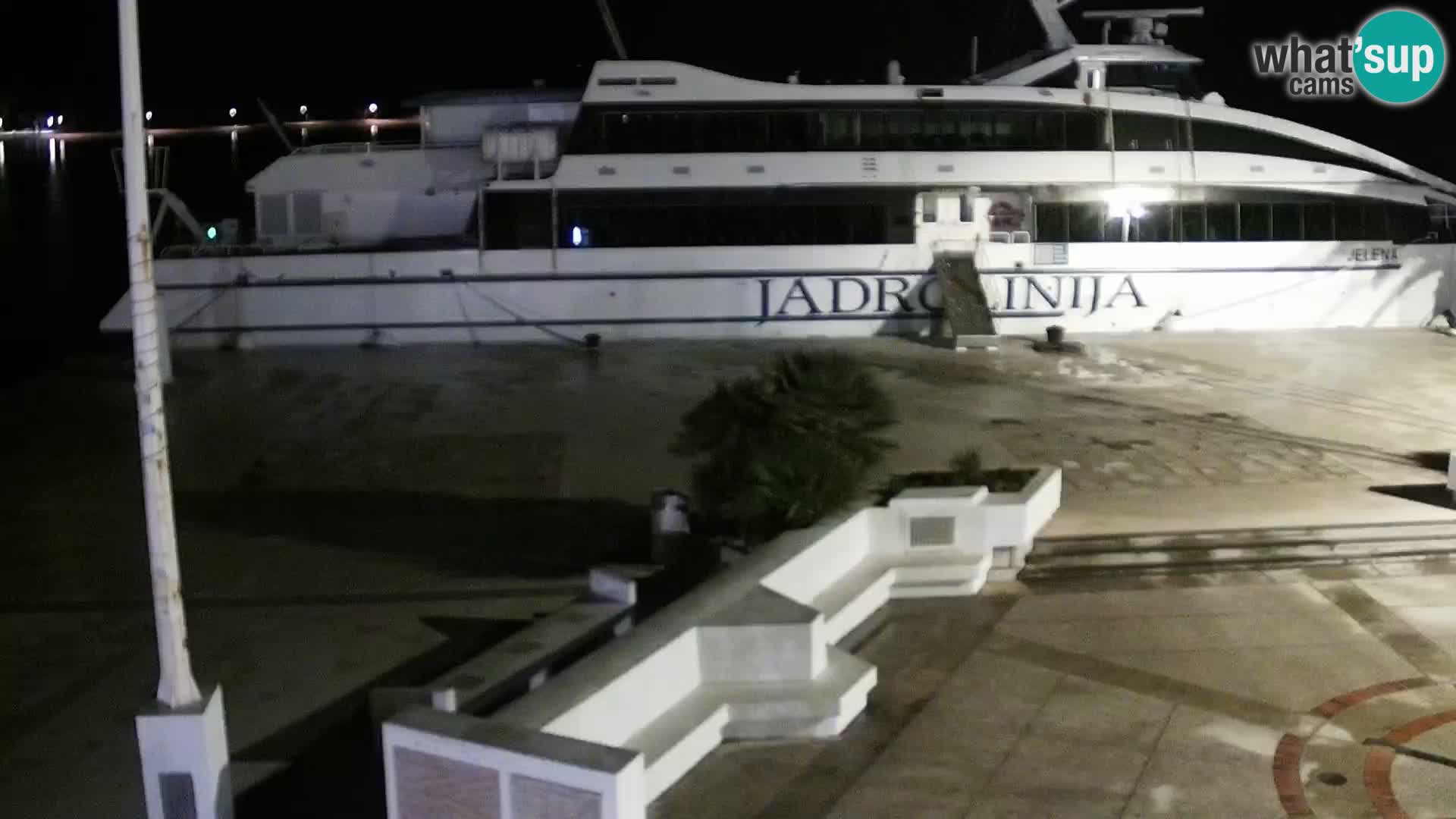 Promenade en Novalia Camera en vivo