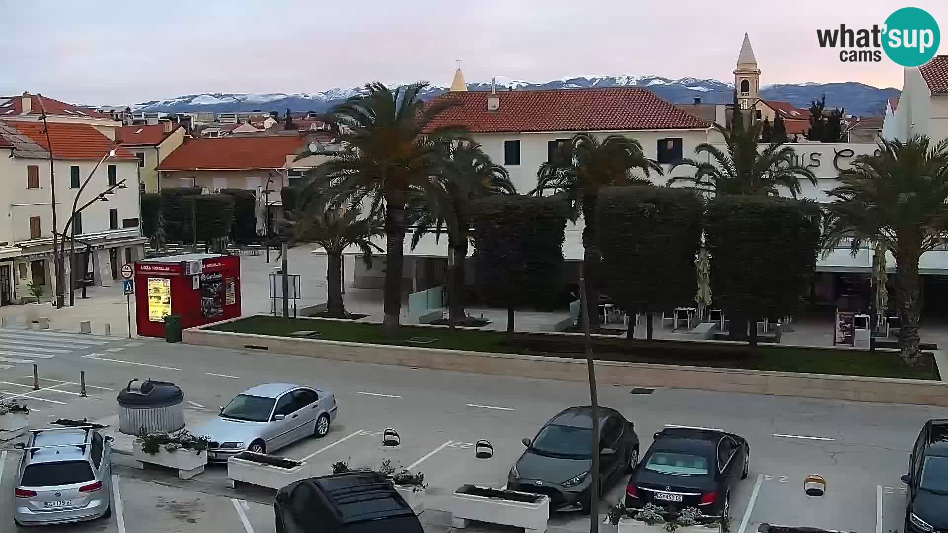 Promenade en Novalia Camera en vivo