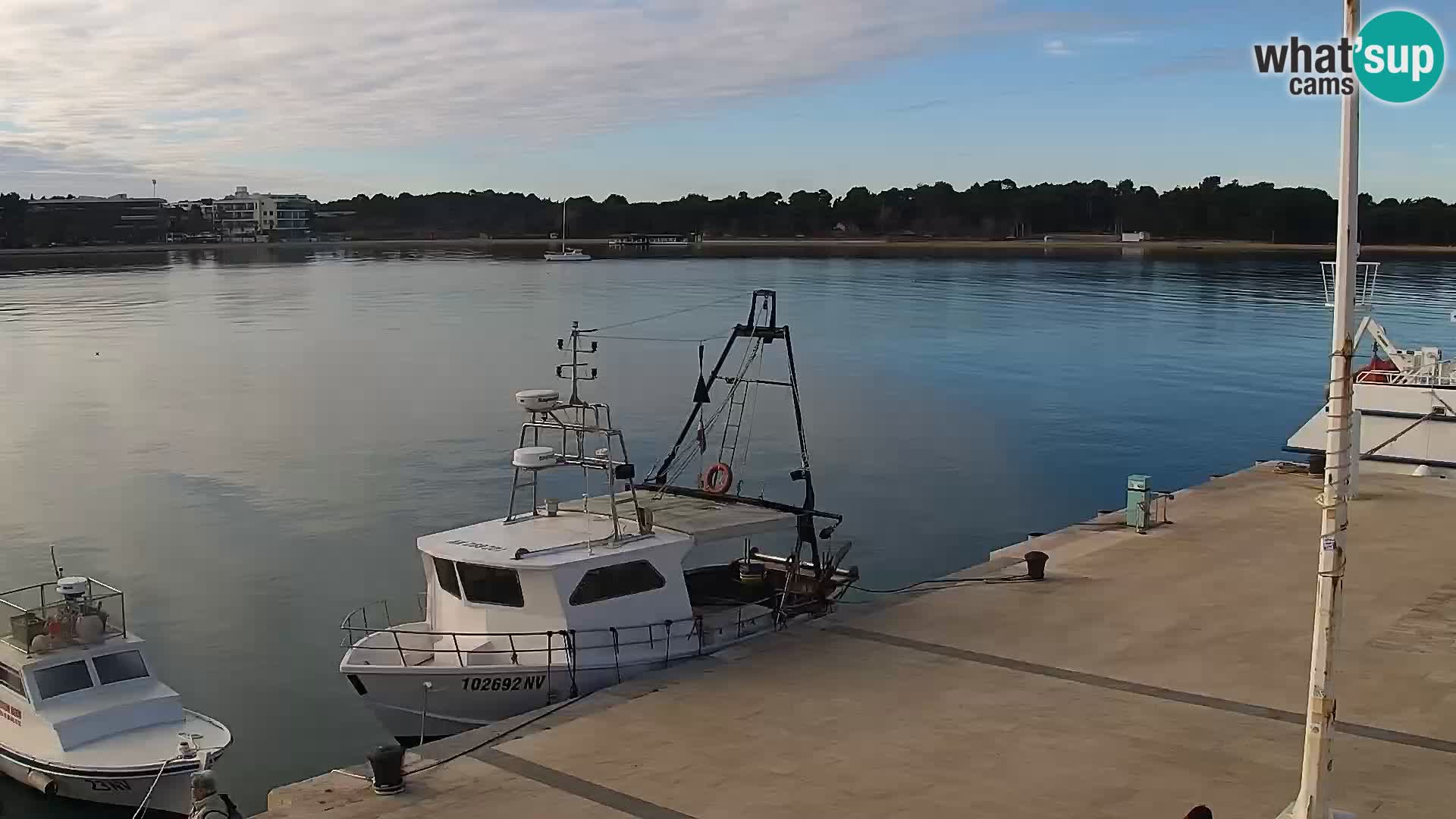 Livecam Promenade a Novalja