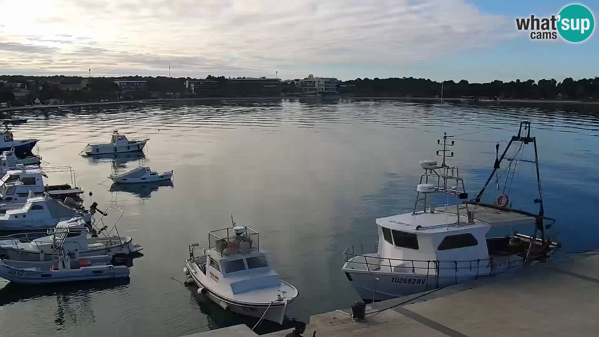 Web kamera Novalja promenada