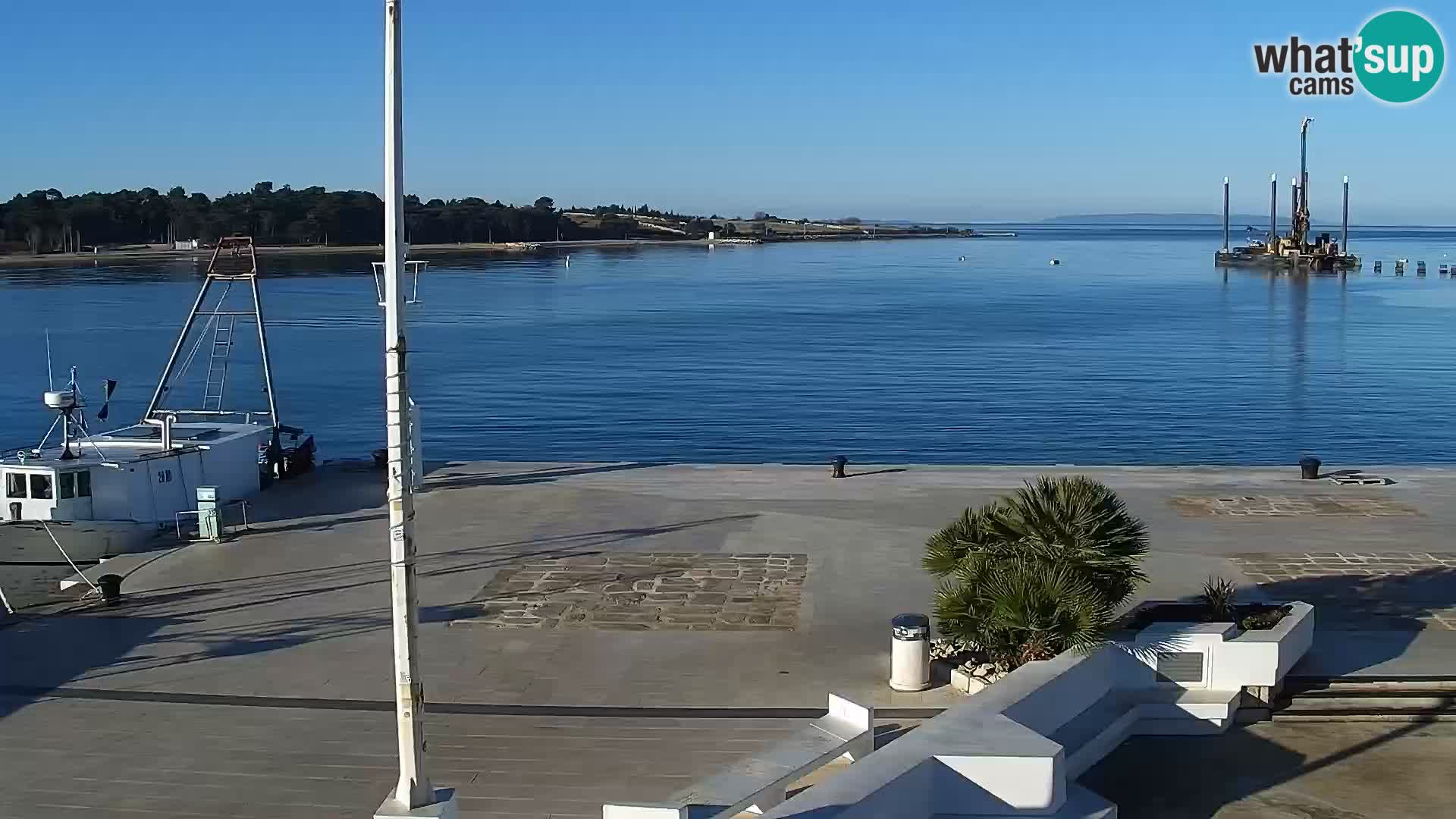 Promenade en Novalia Camera en vivo