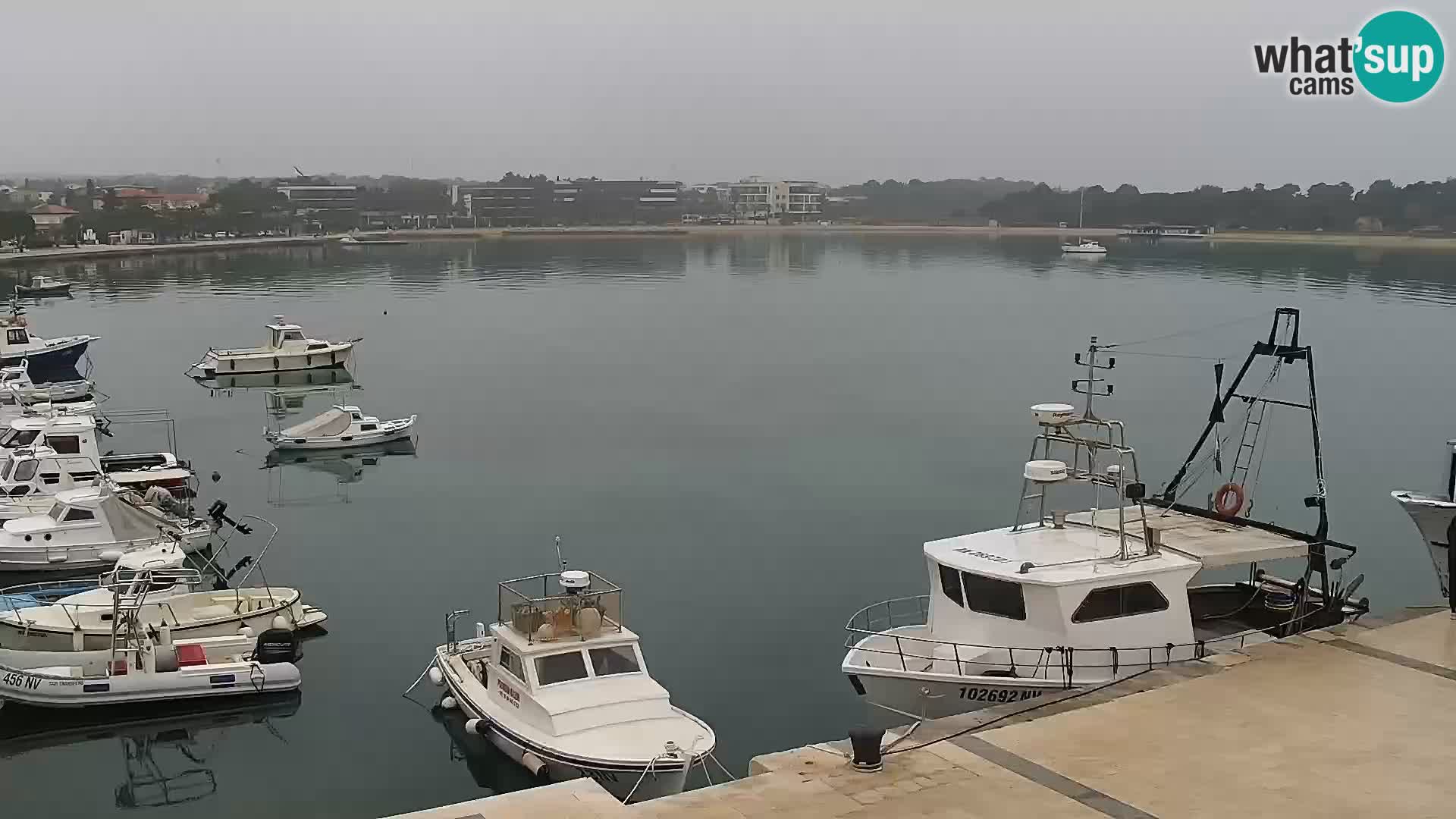 Web kamera Novalja promenada