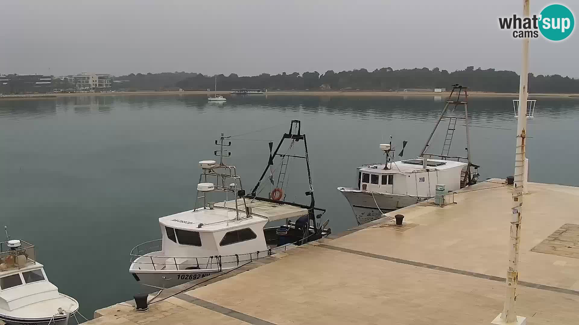 Promenade en Novalia Camera en vivo