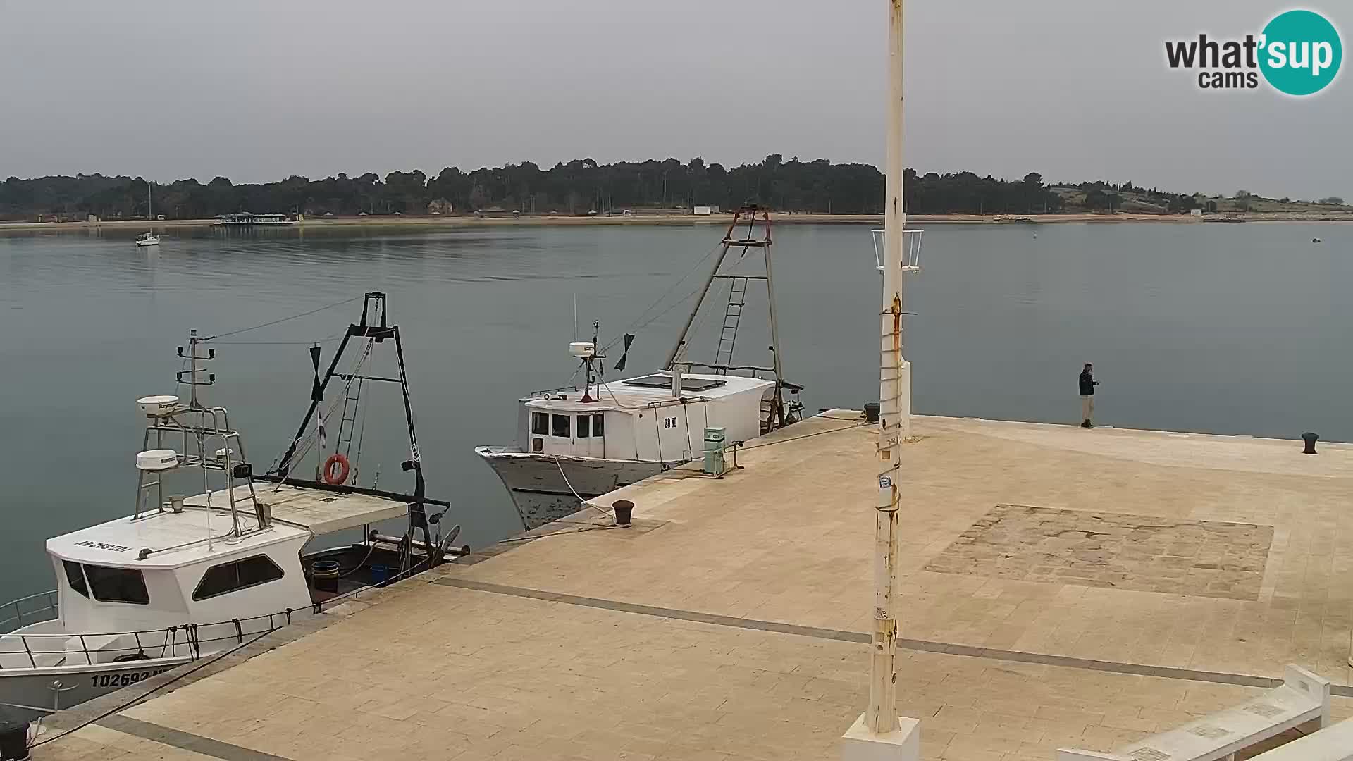 Livecam Promenade a Novalja