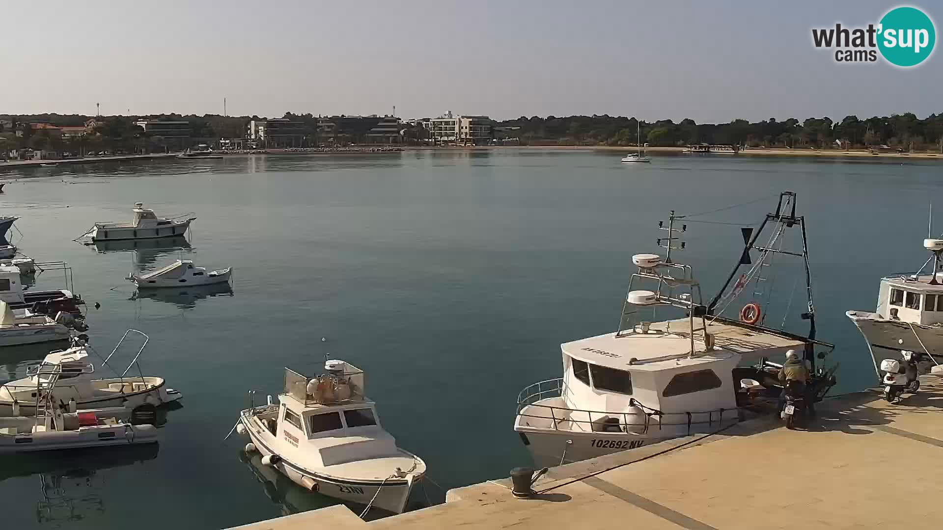 Novalja spletna kamera promenada