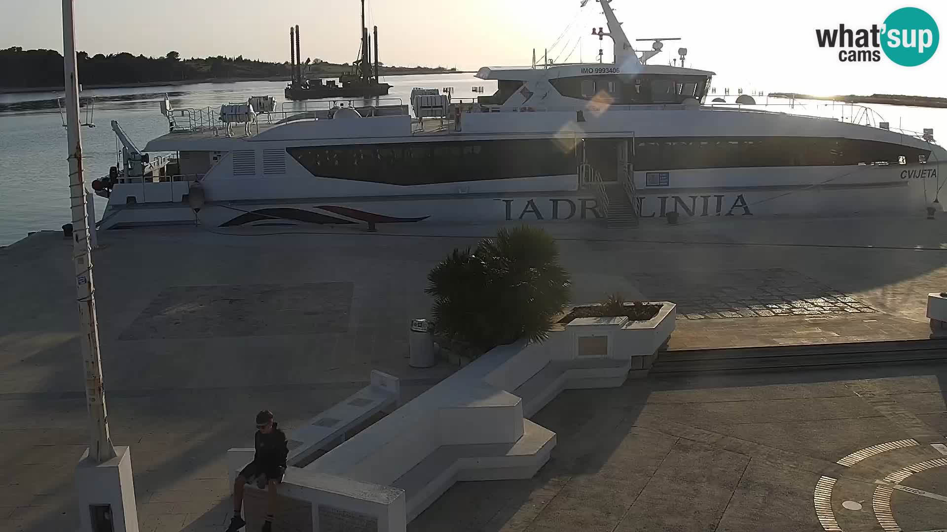 Promenade en Novalia Camera en vivo