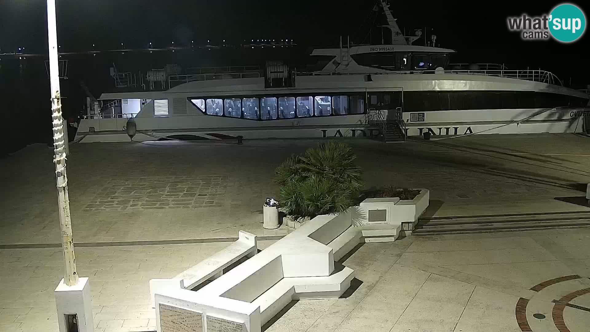 Promenade en Novalia Camera en vivo