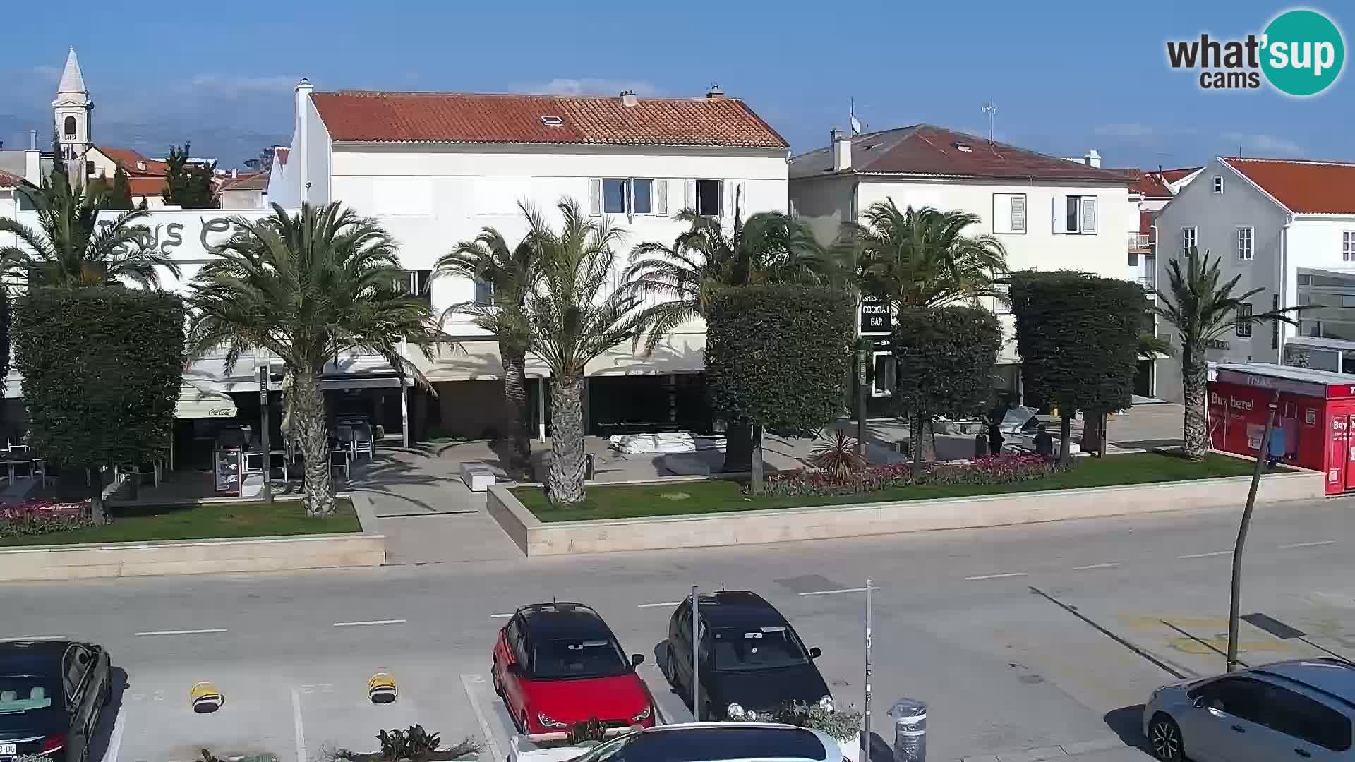 Promenade en Novalia Camera en vivo